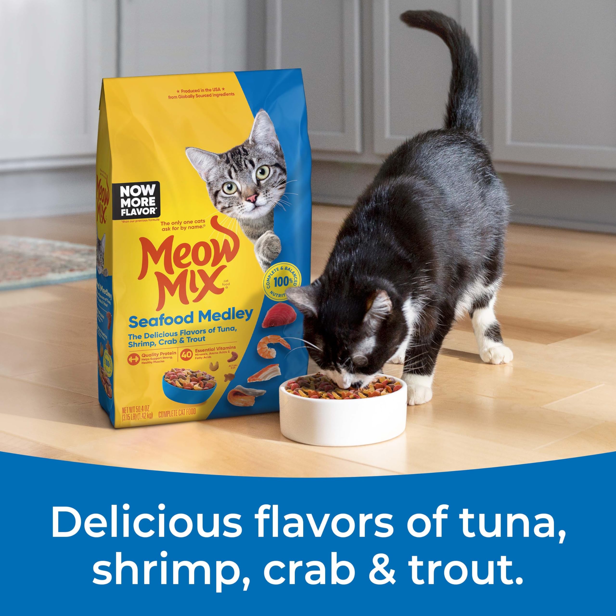 Meow Mix Seafood Medley Dry Cat Food, 3.15 Pound Bag (Pack of 4)