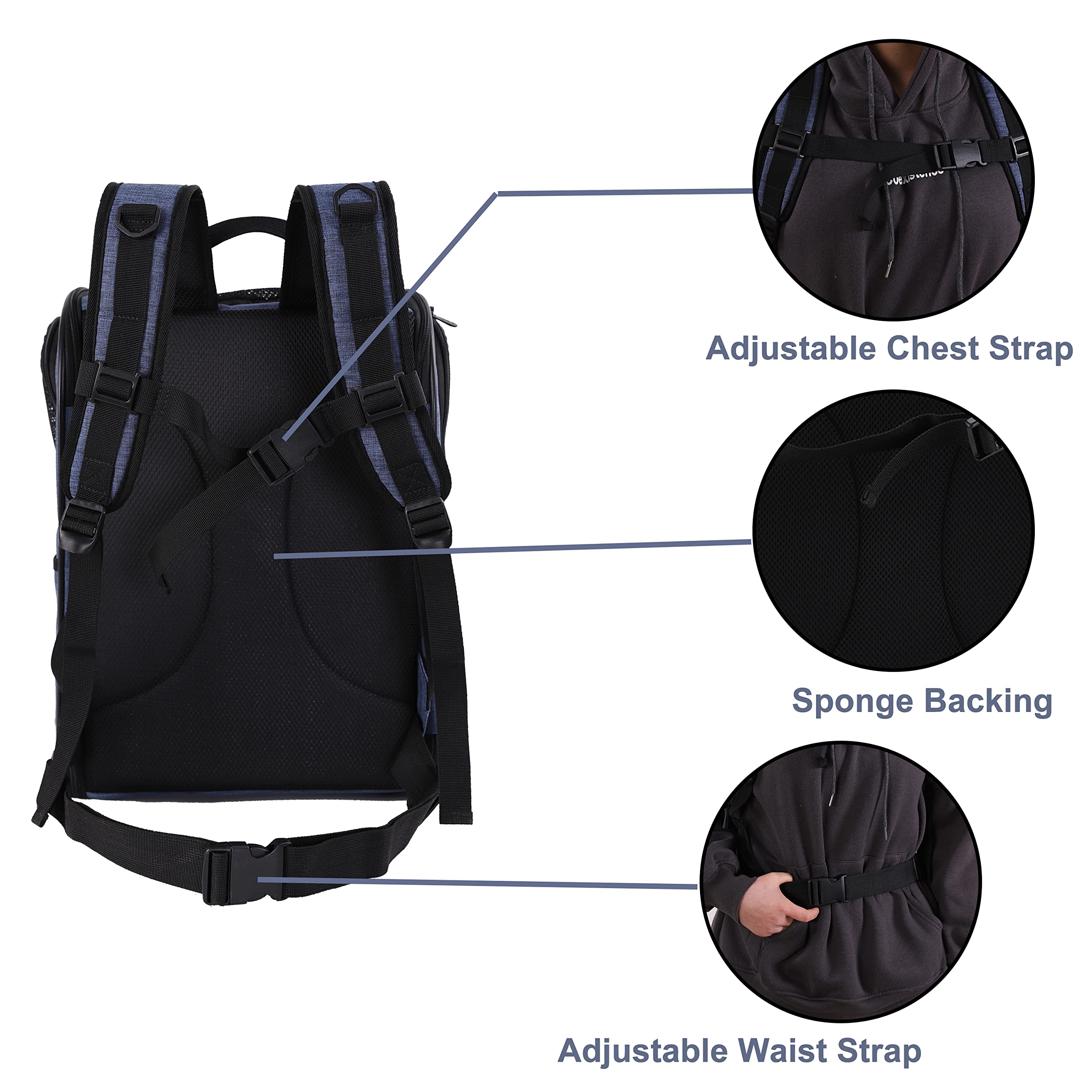 Apollo Walker Pet Carrier Backpack For Large/Small Cats And Dogs, Puppies, Safety Features And Cushion Back Support | For Travel, Hiking, Outdoor Use (Navy)