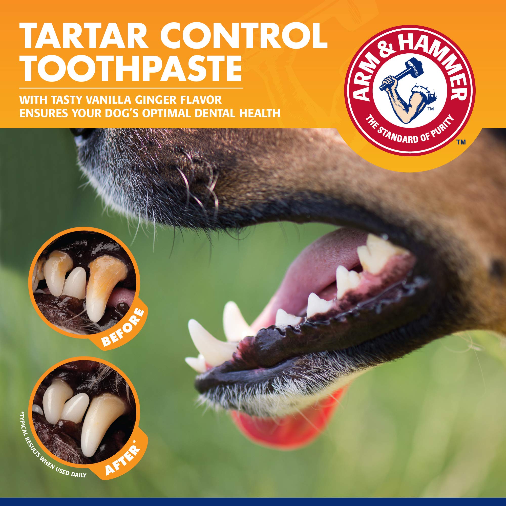 Arm & Hammer for Pets Clinical Care Travel Dental Kit for Dogs in Vanilla Ginger Flavor | Dog Toothbrush and Toothpaste Set Safe