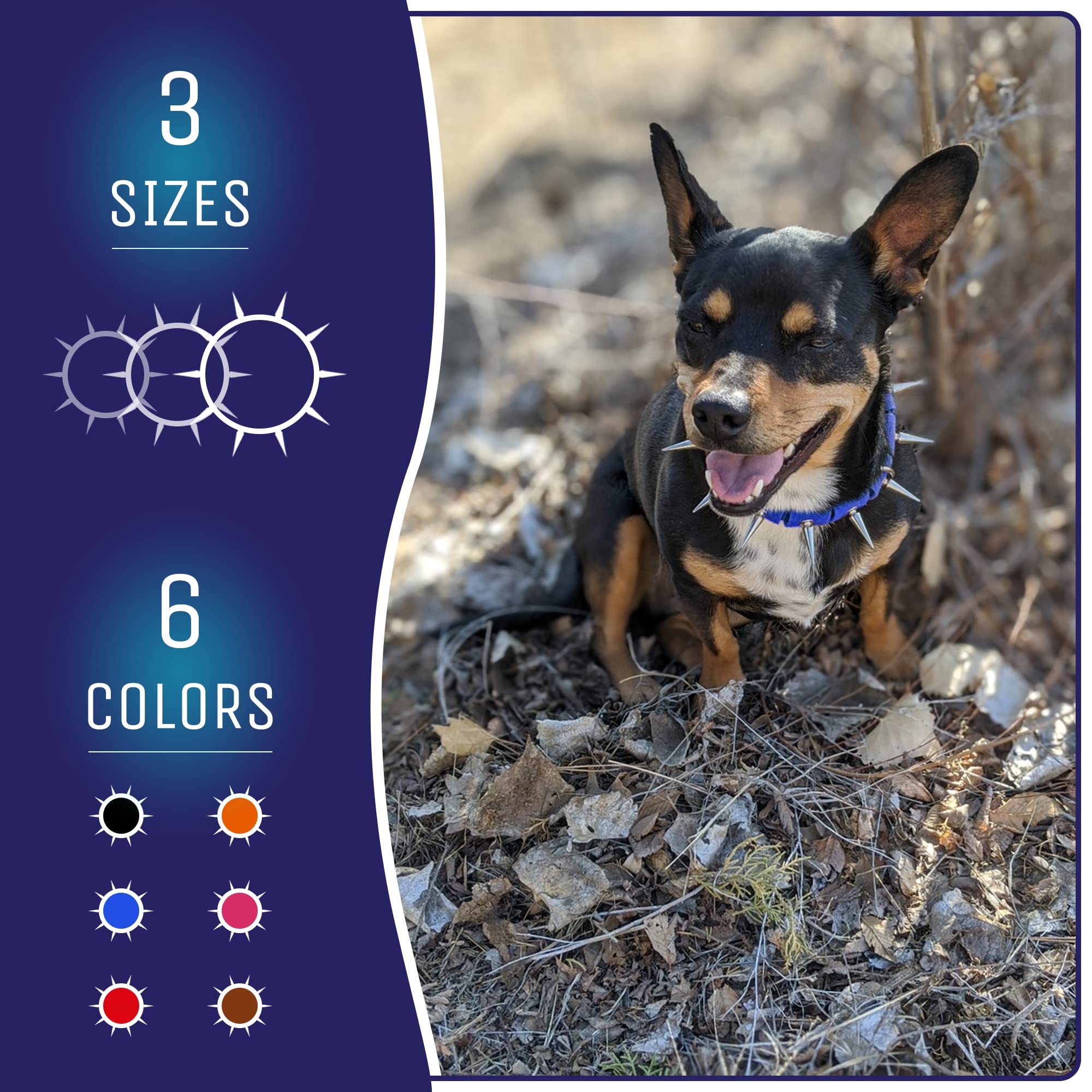 Coyote Collar Medium Spike Collar - Blue Studded For Dogs, Adjustable, Protection Against Coyotes And Aggressive Dogs