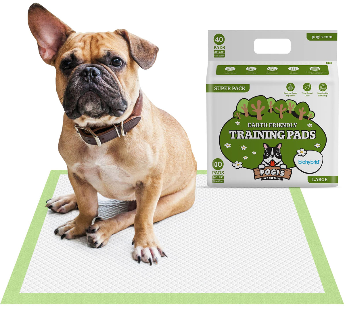 Pogis Dog Training Pads With Adhesive Sticky Tabs (40-Count) (24X24In) - Large Puppy Pads, Earth-Friendly Dog Pads, Plant-Based 