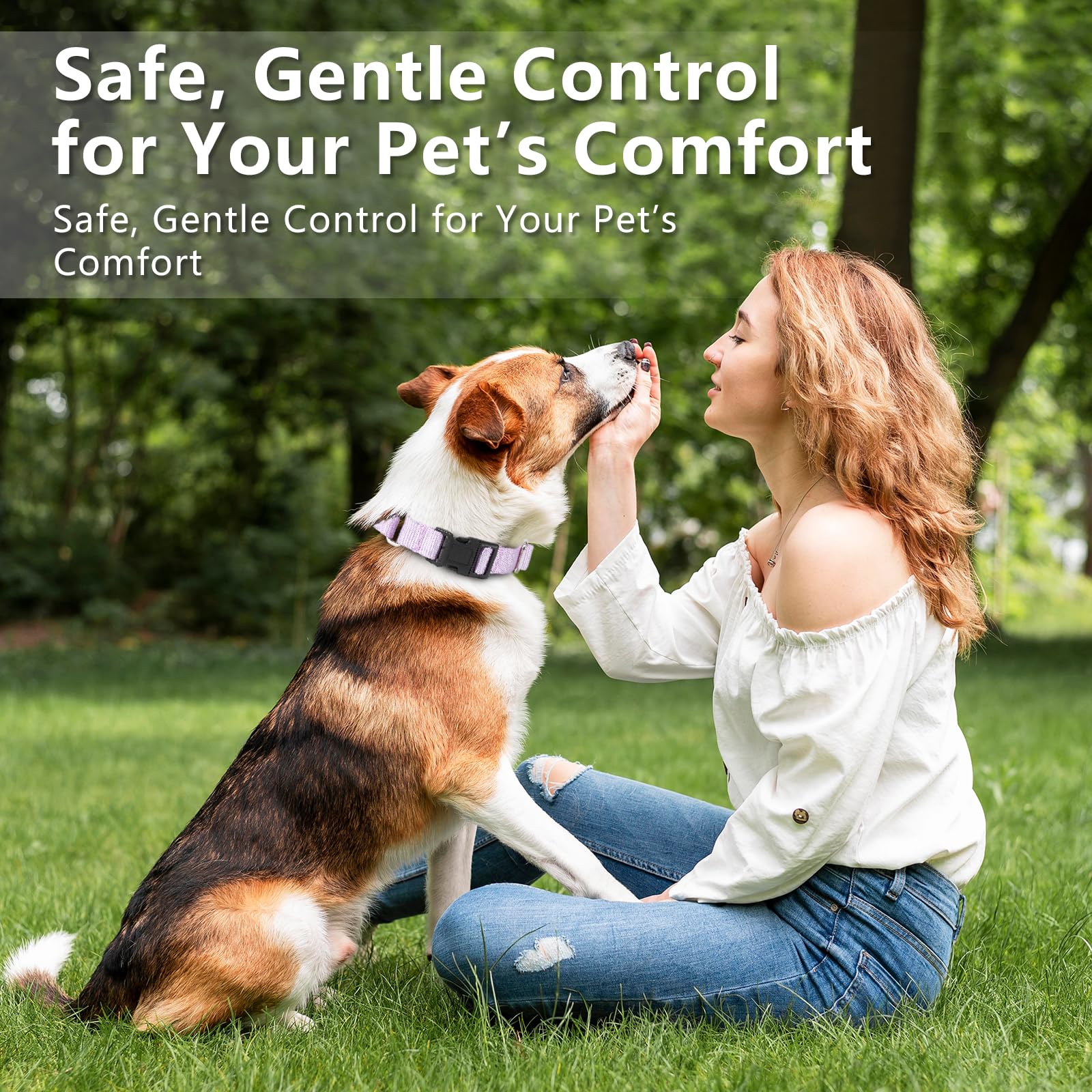 Rttochfy Martingale Dog Collars, Adjustable Nylon Dog Collar With Quick Release Buckle, No Choke Training Collar For Small Mediu