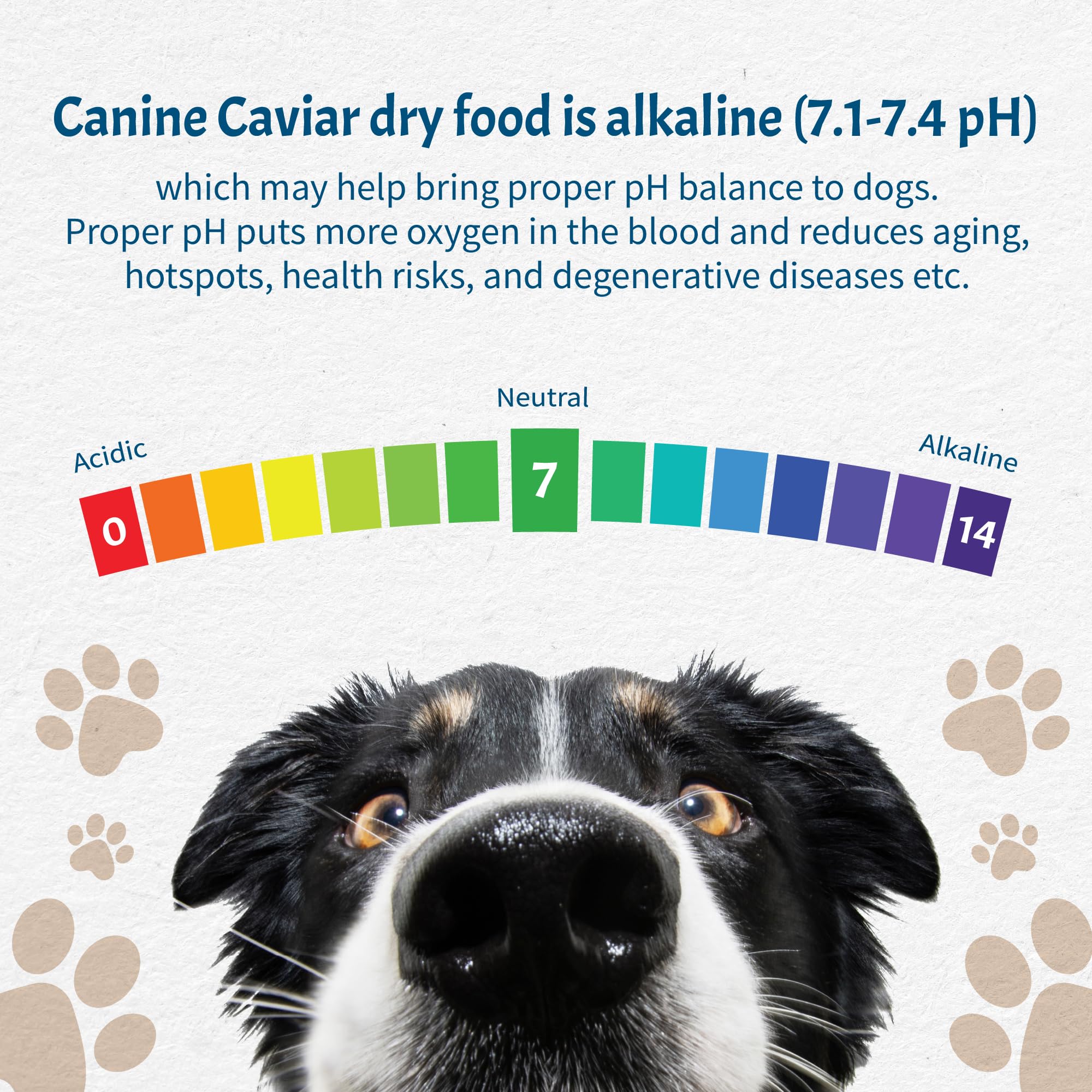 Canine Caviar - Free Spirit: Chicken & Pearl Millet Alkaline Dry Dog Food, Limited Ingredients, Gluten-Free, Based on Science &