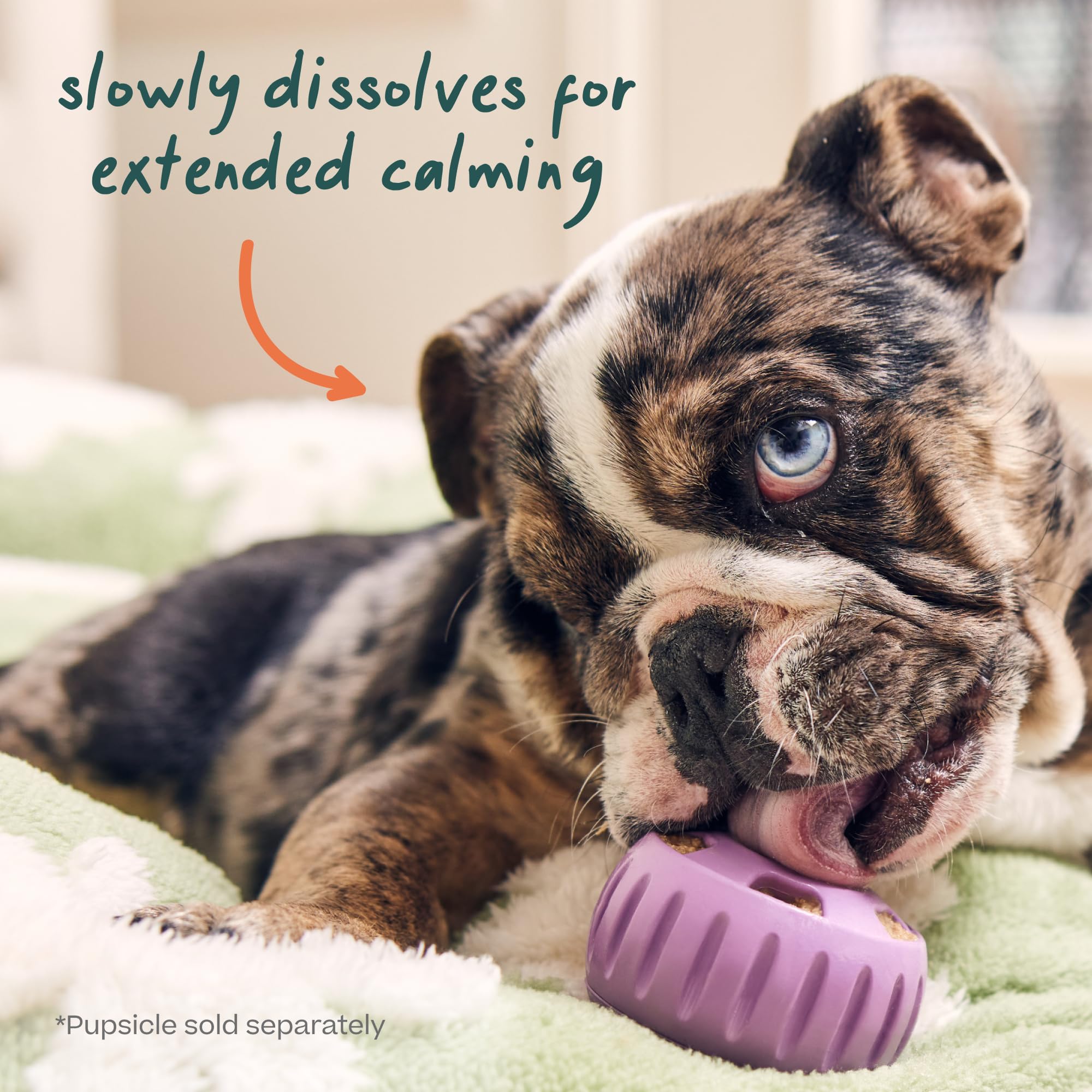 WOOF Pupsicle Refill Pops for Calming - Long-Lasting Refills for The Pupsicle Toy to Promote Calm - Calming Dog Treats - Magnesi
