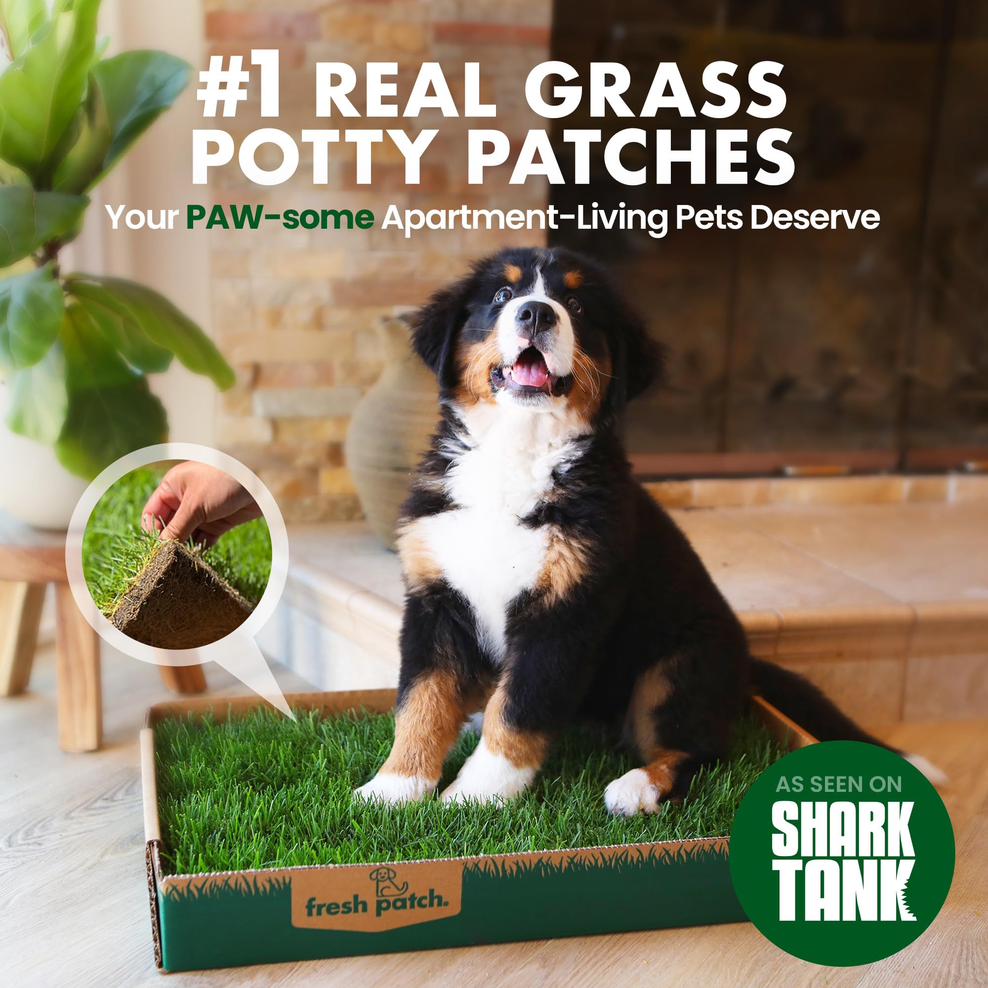 Fresh Patch Mini Real Grass Pee Pad for Dogs up to 8 lbs - Indoor/Outdoor Use, 16x12, Green - Potty Training Solution