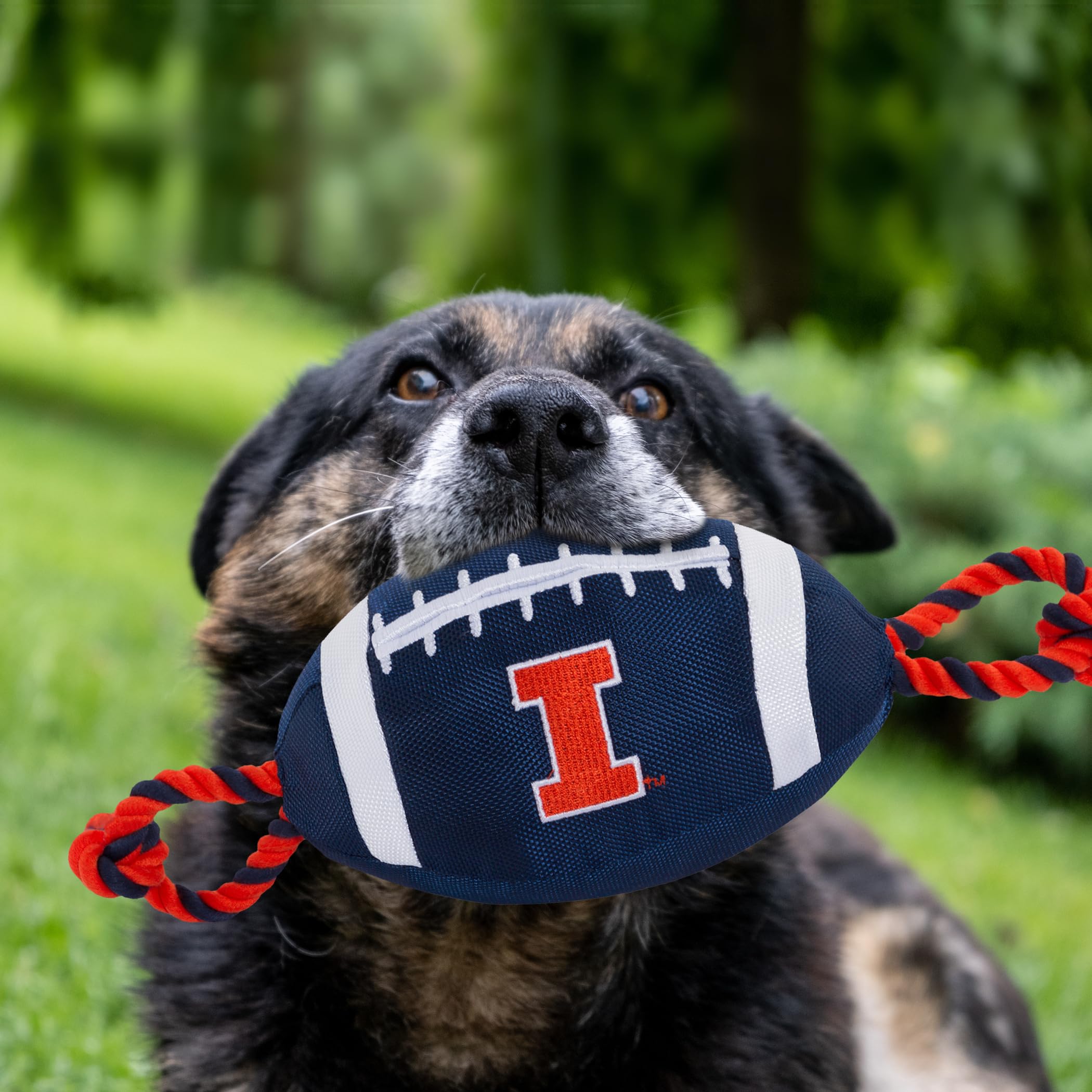 Pets First Ncaa Illinois Fighting Illini Football Dog Toy, Tough Quality Nylon Materials, Strong Pull Ropes, Inner Squeaker, Col
