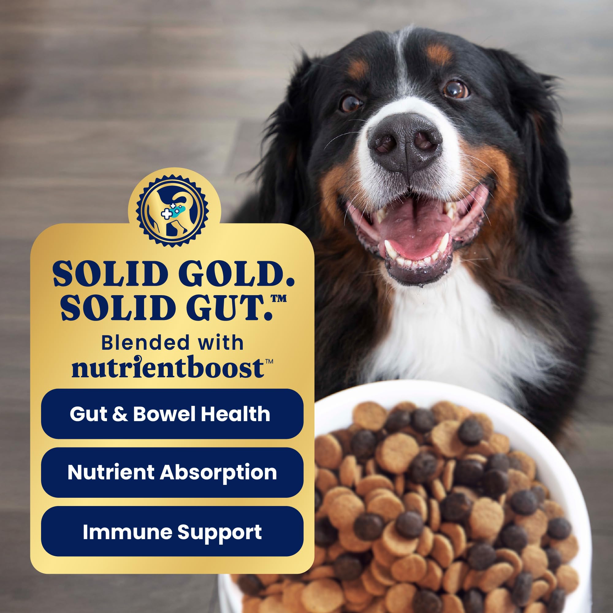 Solid Gold High Protein Dog Food Dry Dog Kibble - Premium Beef Protein & Digestive Probiotics for Energy, Muscle, Gut & Immune S