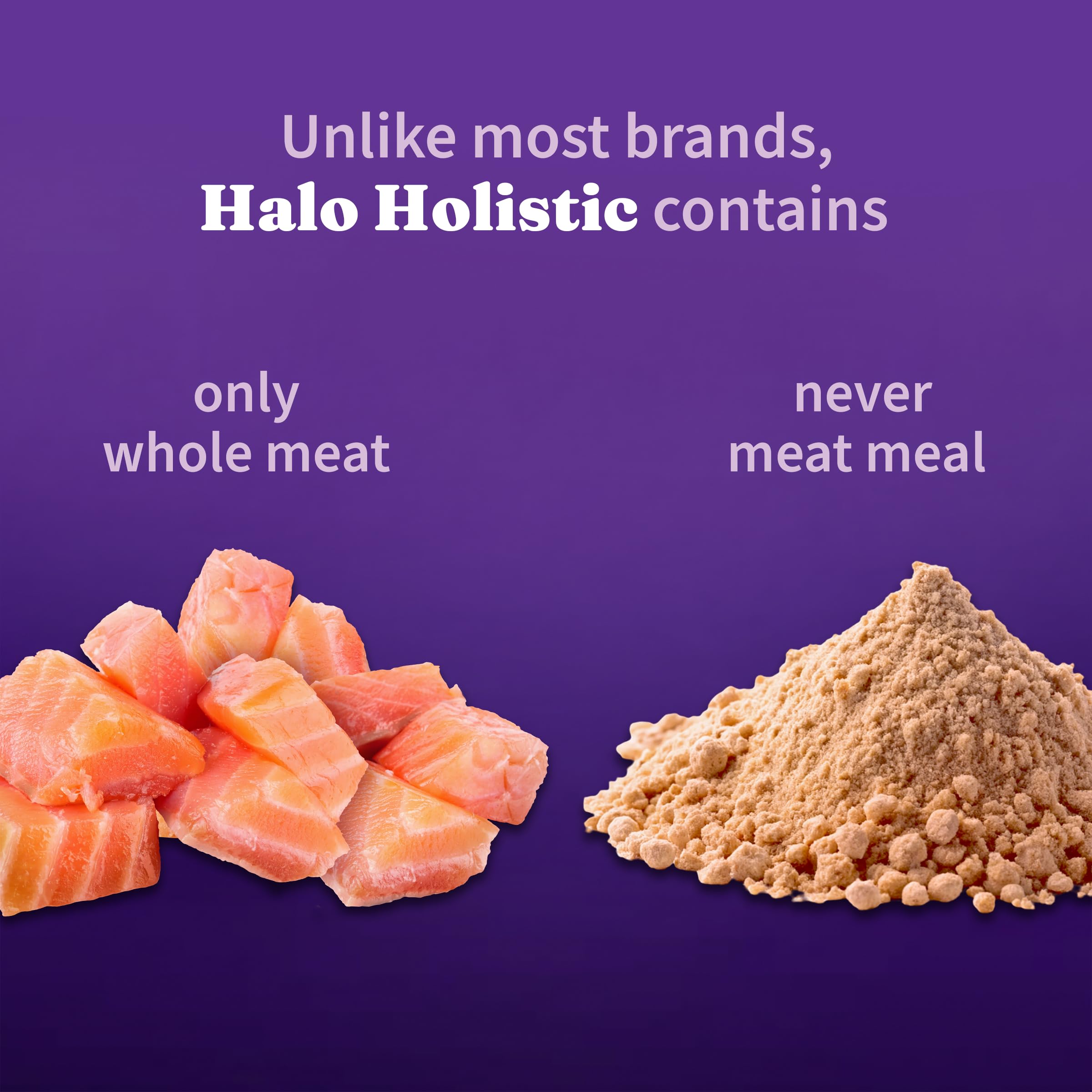 Halo Holistic Cat Food Wild Caught Salmon & Whitefish Formula, Healthy Grains Dry Cat Food, Complete Digestive Health, Kibble fo