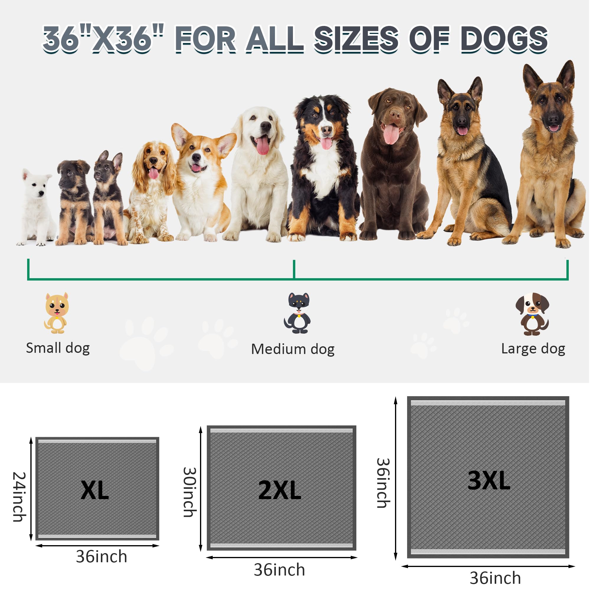 36x36 Activated Charcoal Pee Pads for Dogs , 150 Count, Extra Large, Super Absorbent, Leakproof and Odor Resistant, Disposable P