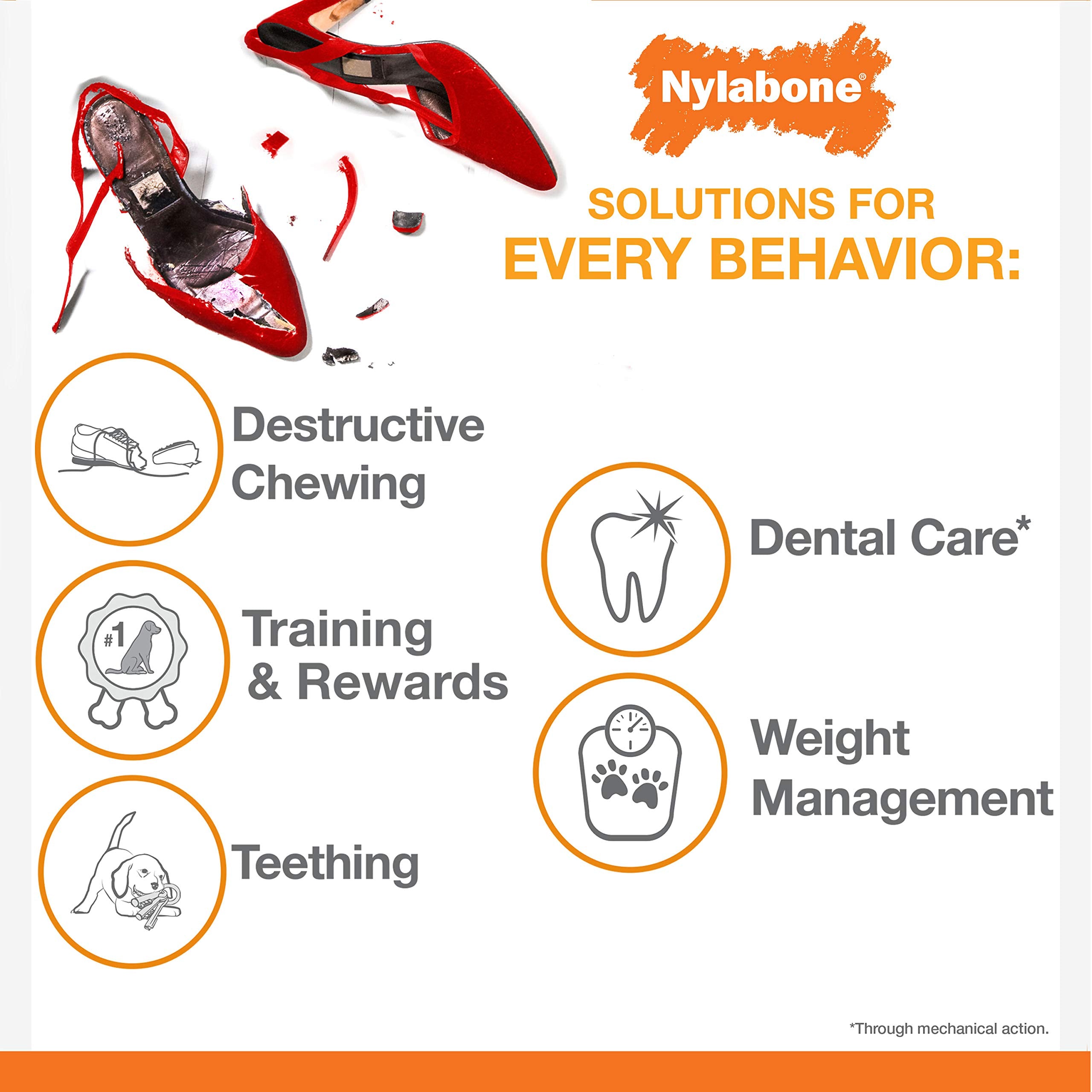 Nylabone Strong Chew Ring Braided Chew Toy For Dogs Beef Medium/Wolf (1 Count)