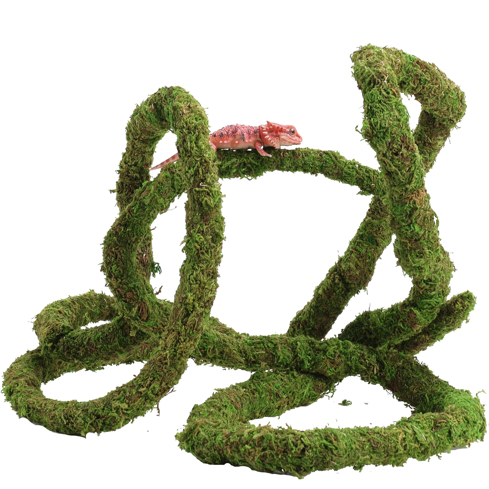 USMOLA Moss Vine for Reptiles, Bendable Climbing Vines Reptile Tank Accessories, Natural Moss Rope for Leopard Gecko, Lizard, Sn