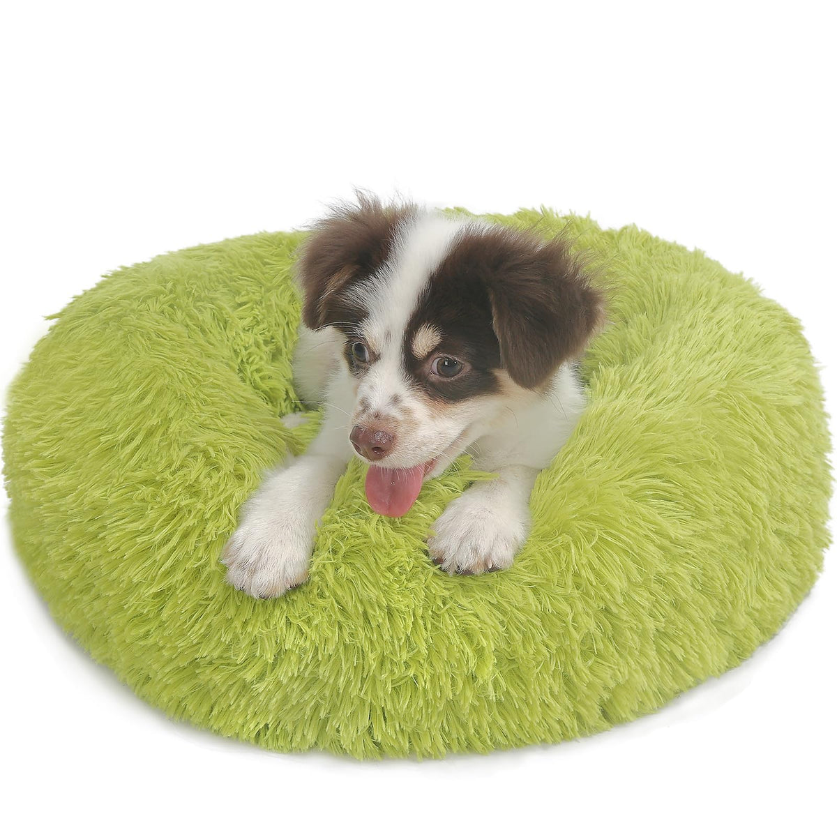 Nononfish Small Dog Bed Calming Dogs Bed For Small Dogs Anti-Anxiety Puppy Bed Machine Washable Fluffy Luxury Anti-Slip Waterproof Mute Base Warming Cozy Soft Pet Round Bed, Grass Green