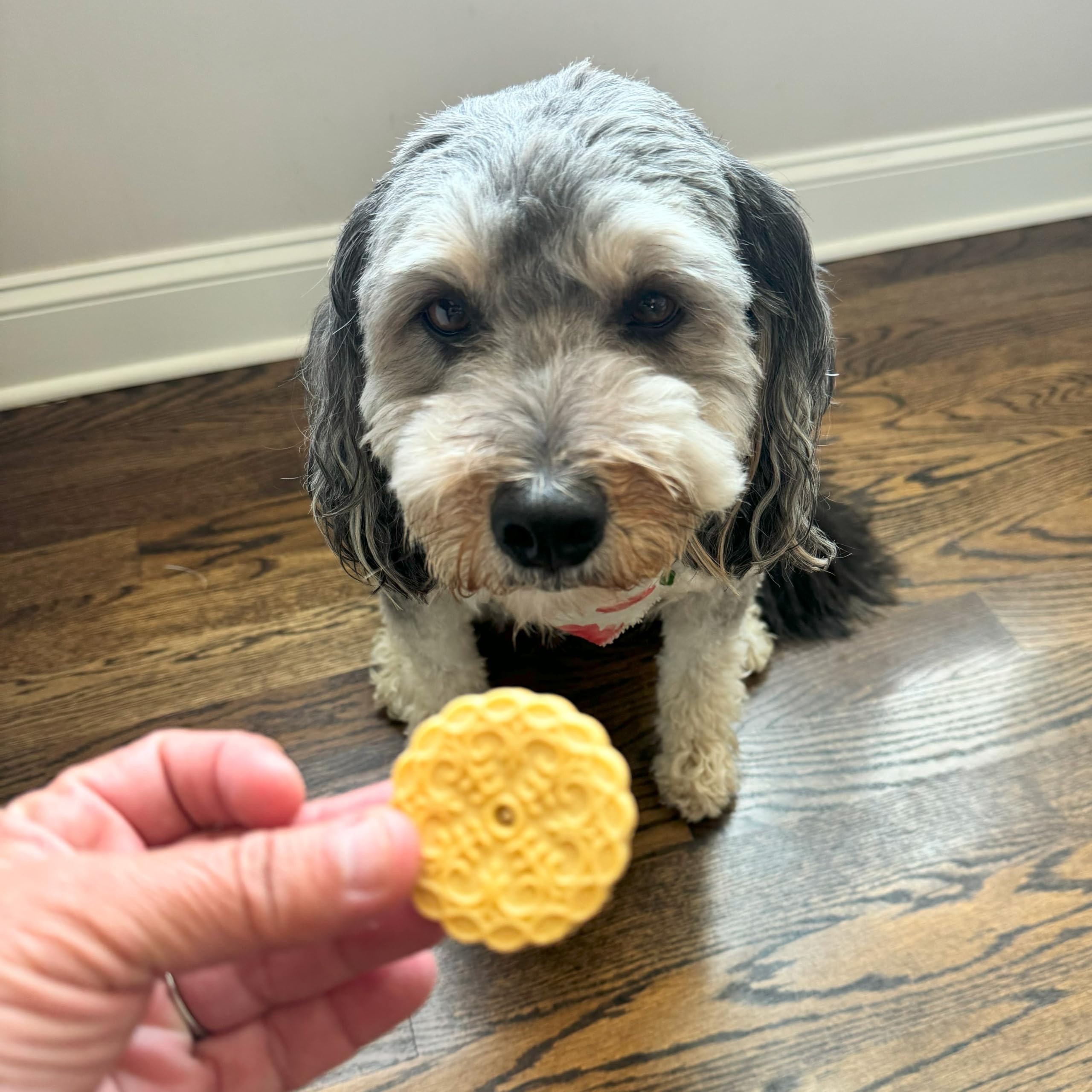 Exclusively Dog Cookies Sandwich Cremes Peanut Butter Flavor Dog Treats for Medium and Large Dogs, Natural and Made in The USA,