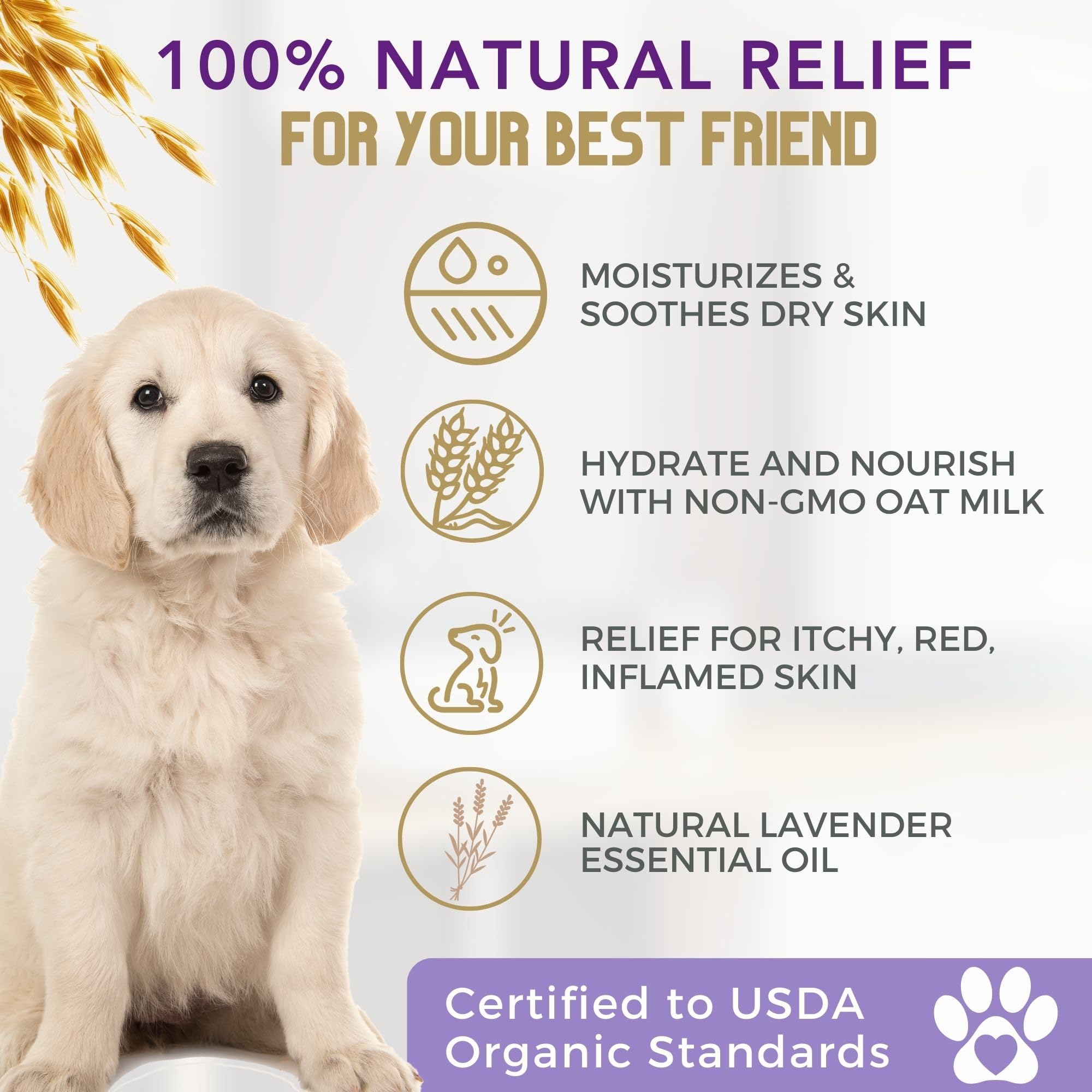 4Legger Organic Dog Shampoo Usda Certified Organic, All Natural Hypoallergenic Dog Shampoo With Oatmeal, Lavender, And Coconut Oil - Organic Oatmeal Shampoo For Dogs - Dog Shampoo For Itchy Skin 16 Oz