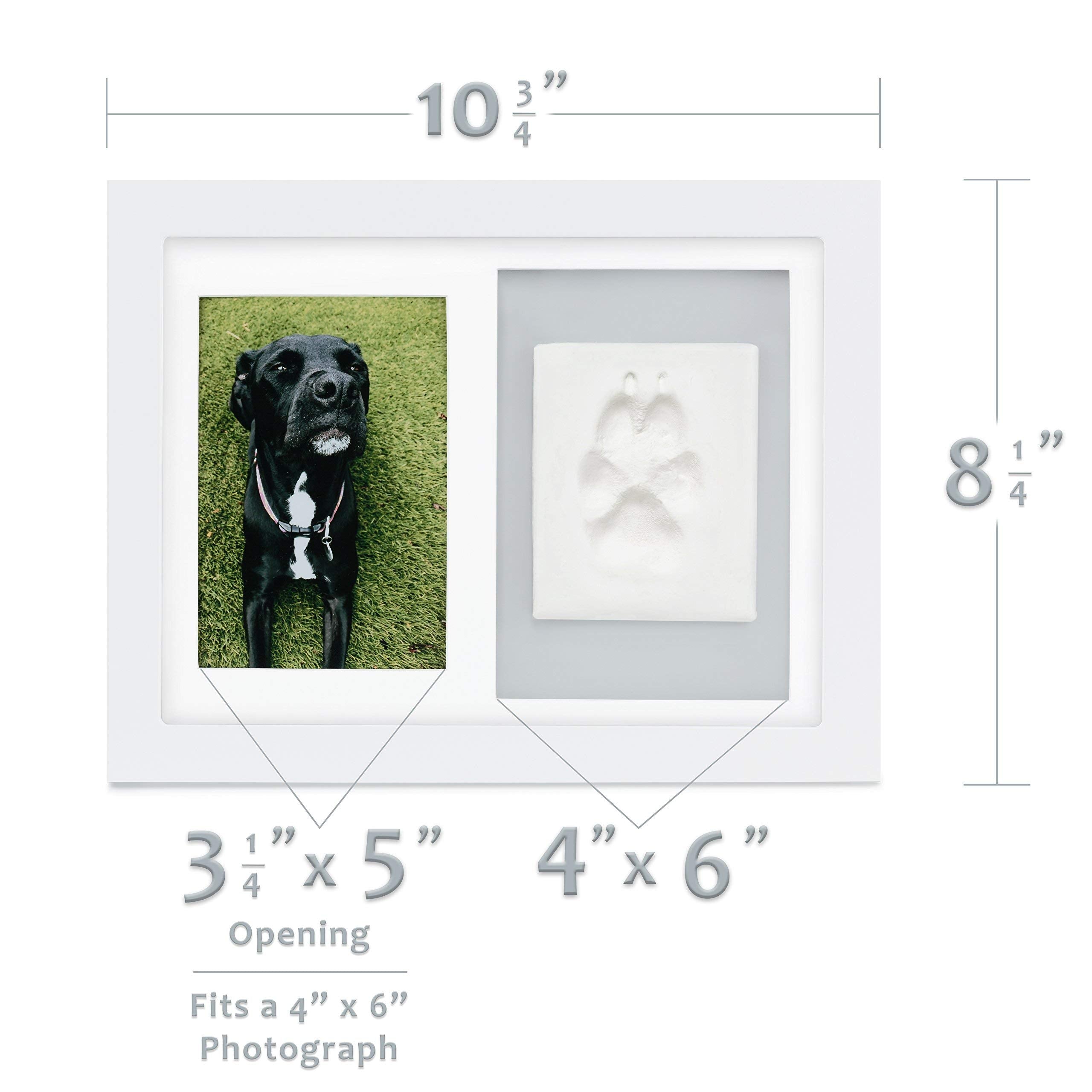 Better World Pets Paw Print + Photo Keepsake Frame Holds 4 X 6 Inch Picture – Memorial Clay Imprint Kit – For Dogs And Cats – Perfect For Pet Lovers – Wall Mount, White