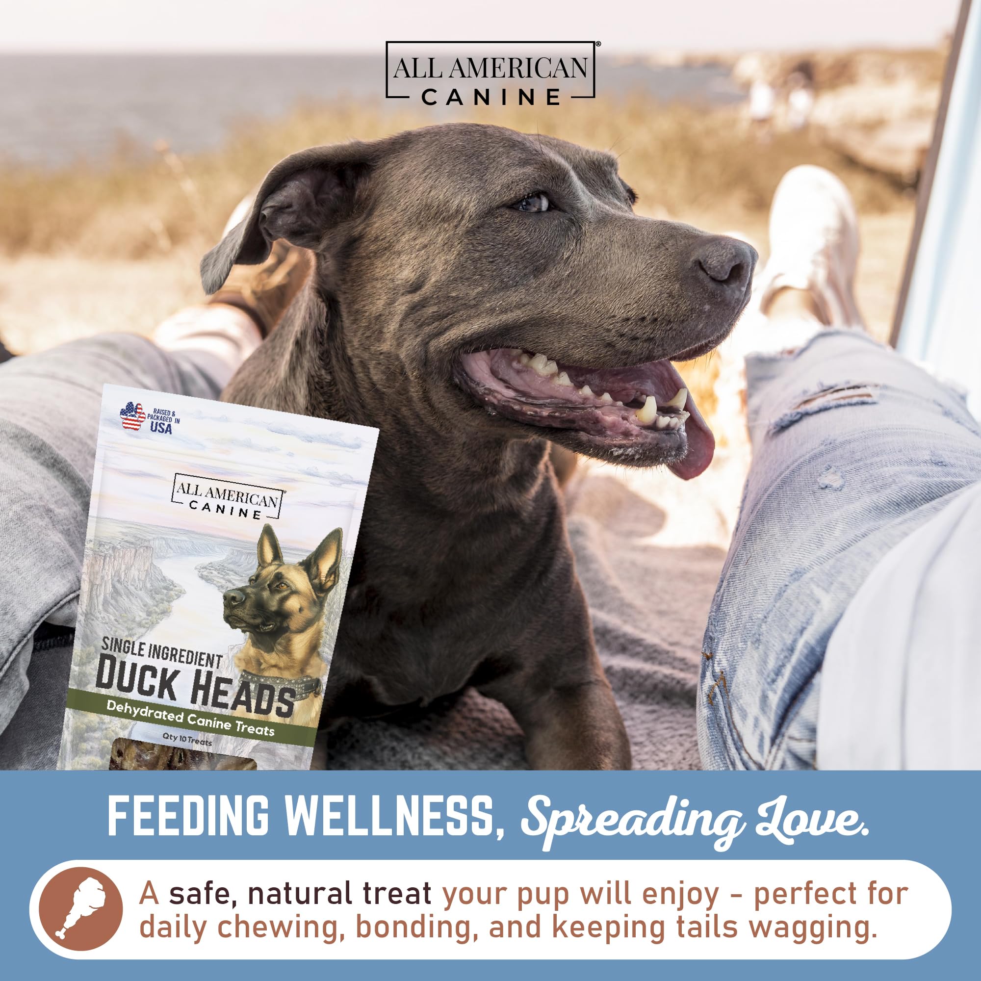 All American Canine Duck Head Dog Treats - Dehydrated, Low-Fat, High-Protein, 10 Count, Made in USA