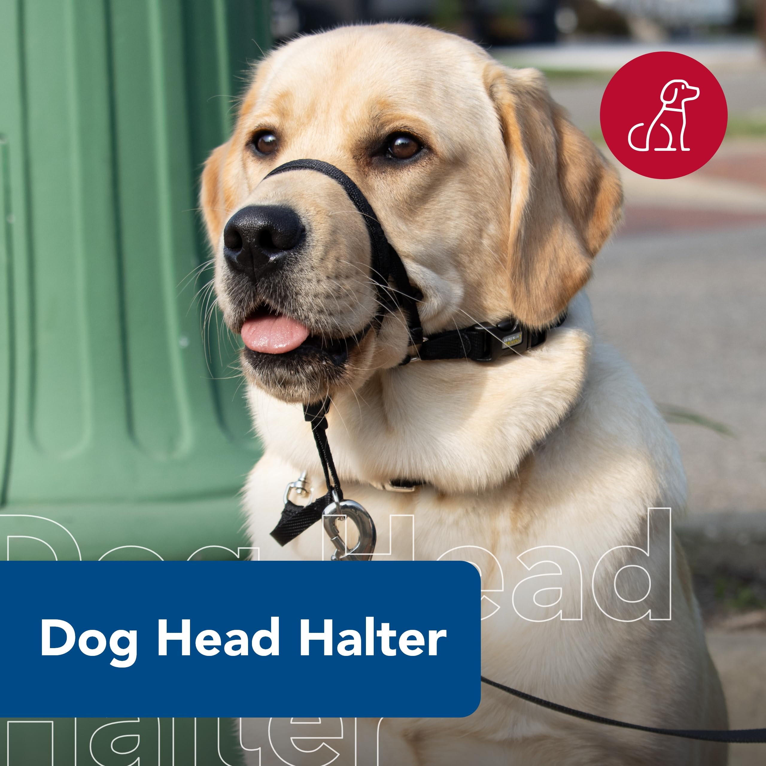 Coastal Pet Walk 'N Train Dog Head Halter - Head Colllar Dog Leader - No-Pull Pet Harness - Quick-Drying Polyester - Black - Medium