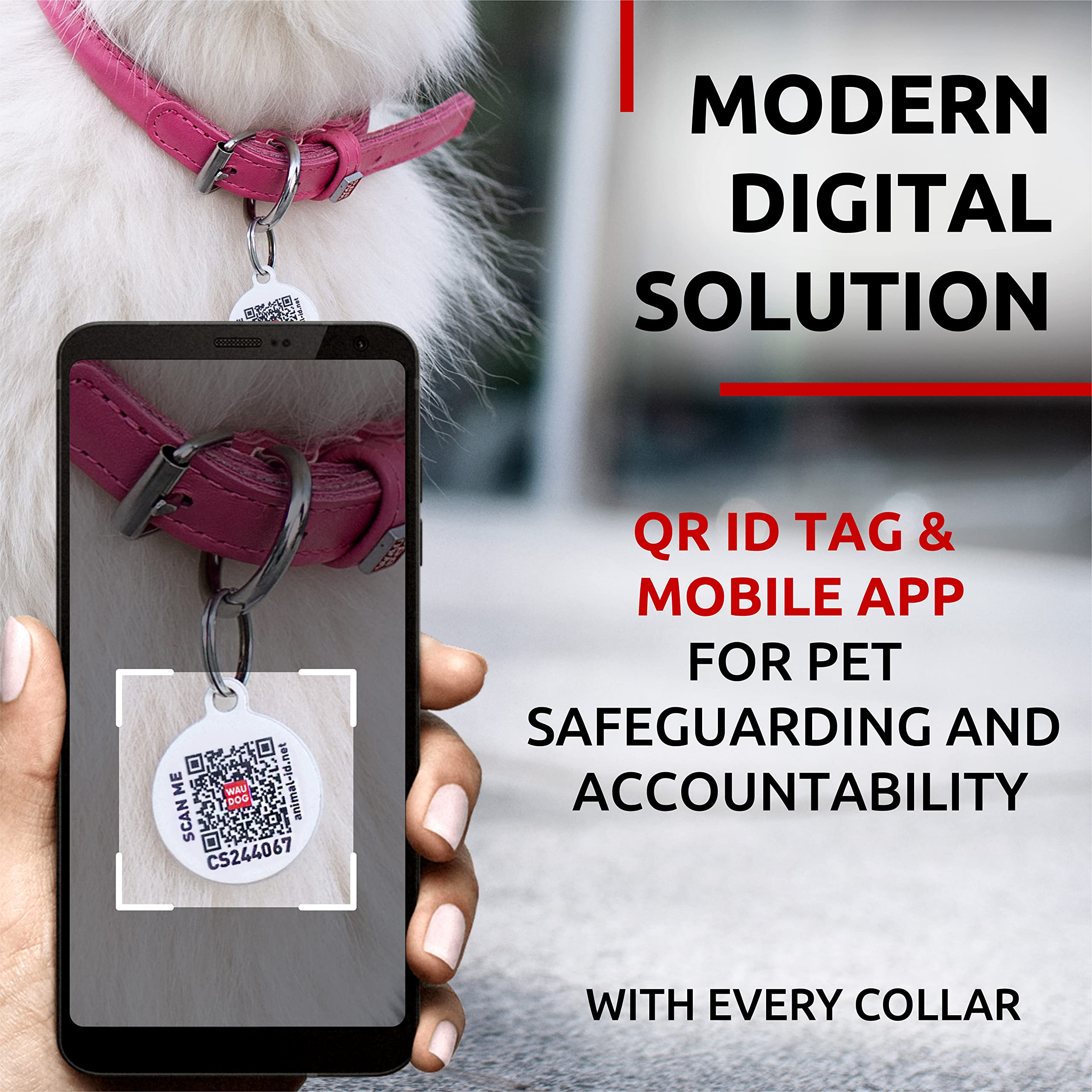 Waudog Leather Dog Collar, Soft Padded, Adjustable, For Small, Medium & Large Dogs, Ideal For Outdoor Use, Great Gift, Pink