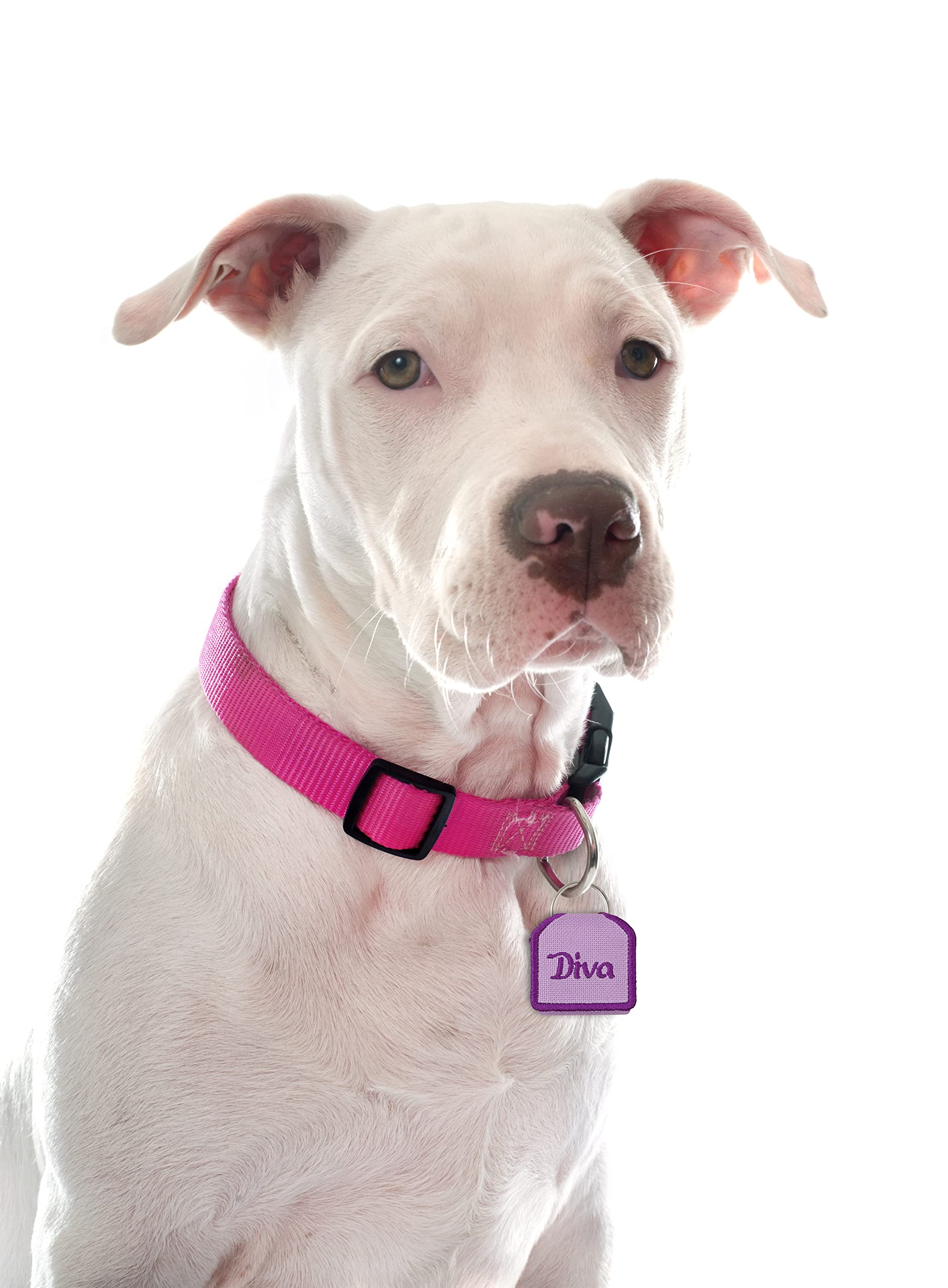 The Tag Bag - Dog Tag Silencer (Diva/Pink)