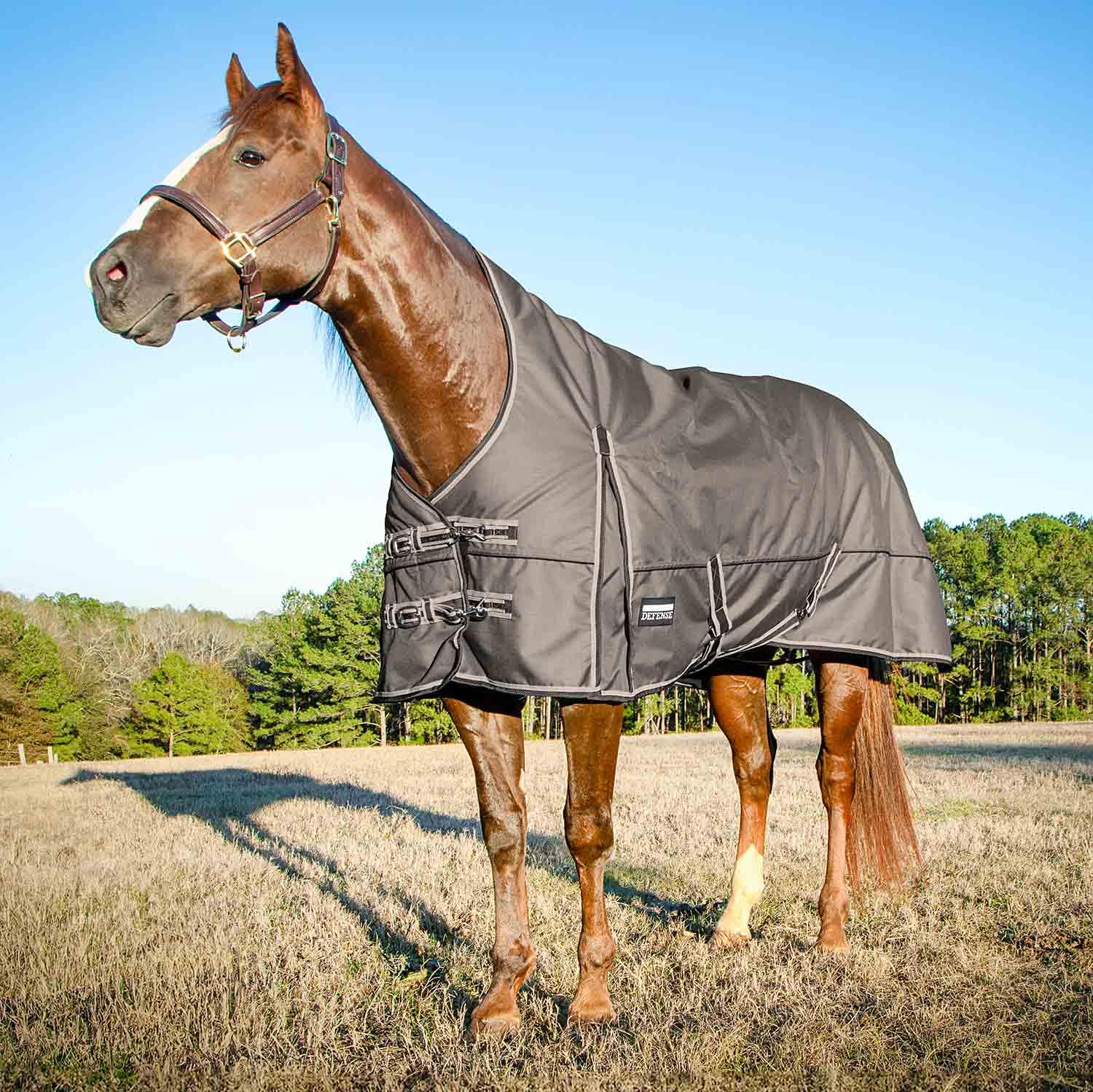 Jeffers Poplar Head Defense 1680 Denier Turnout Blanket with Extended Neck Design, Plymouth Brown 81- 240g Polyfill, Waterproof,