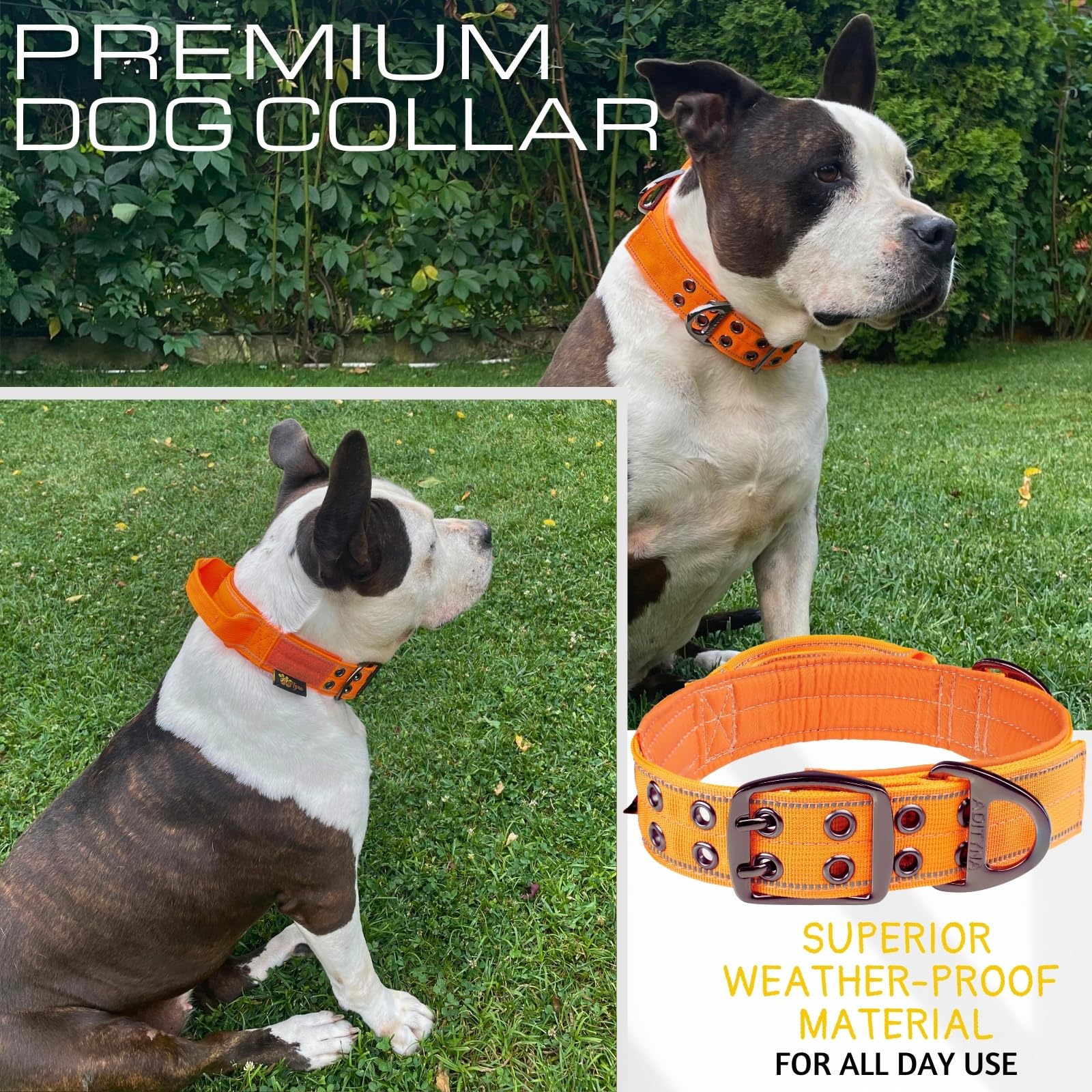 Adityna Heavy Duty Dog Collar For Medium Dogs - Reflective Orange Collar With Handle For Training, And Walking - Wide, Thick, Ta