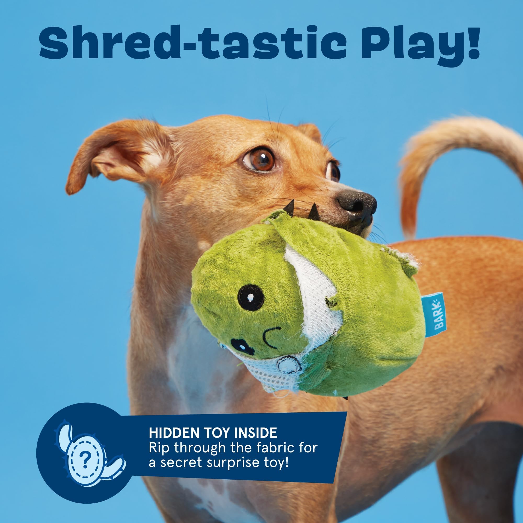 Barkbox 2 In 1 Interactive Plush Dog Toy - Rip And Reveal Toy For Dogs And Puppies - Stimulating Squeaky Pet Toys | Consuela Cactus (Large)