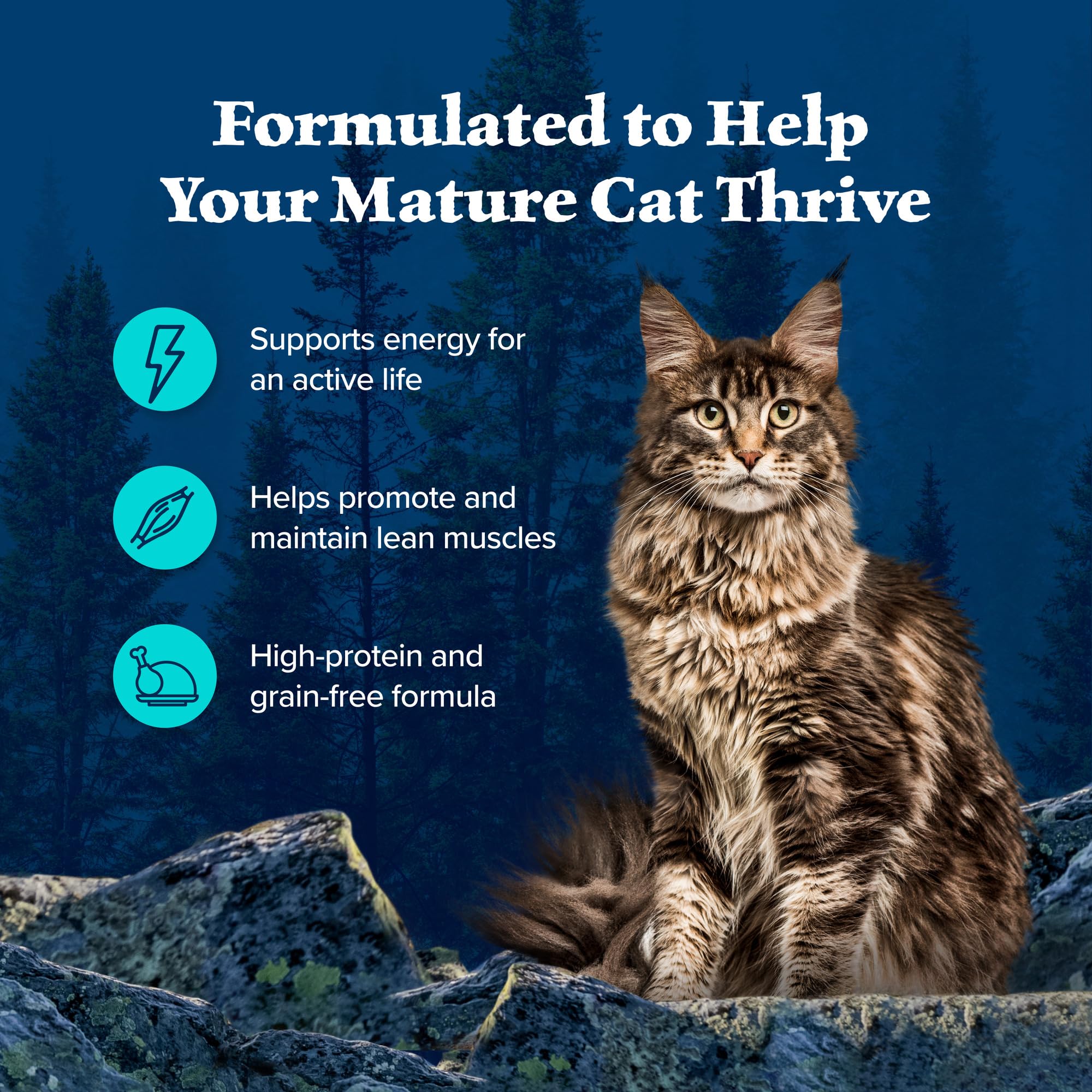 Blue Buffalo Wilderness Wild Delights Minced Wet Cat Food, High-Protein & Grain-Free, Made with Natural Ingredients, Chicken & T