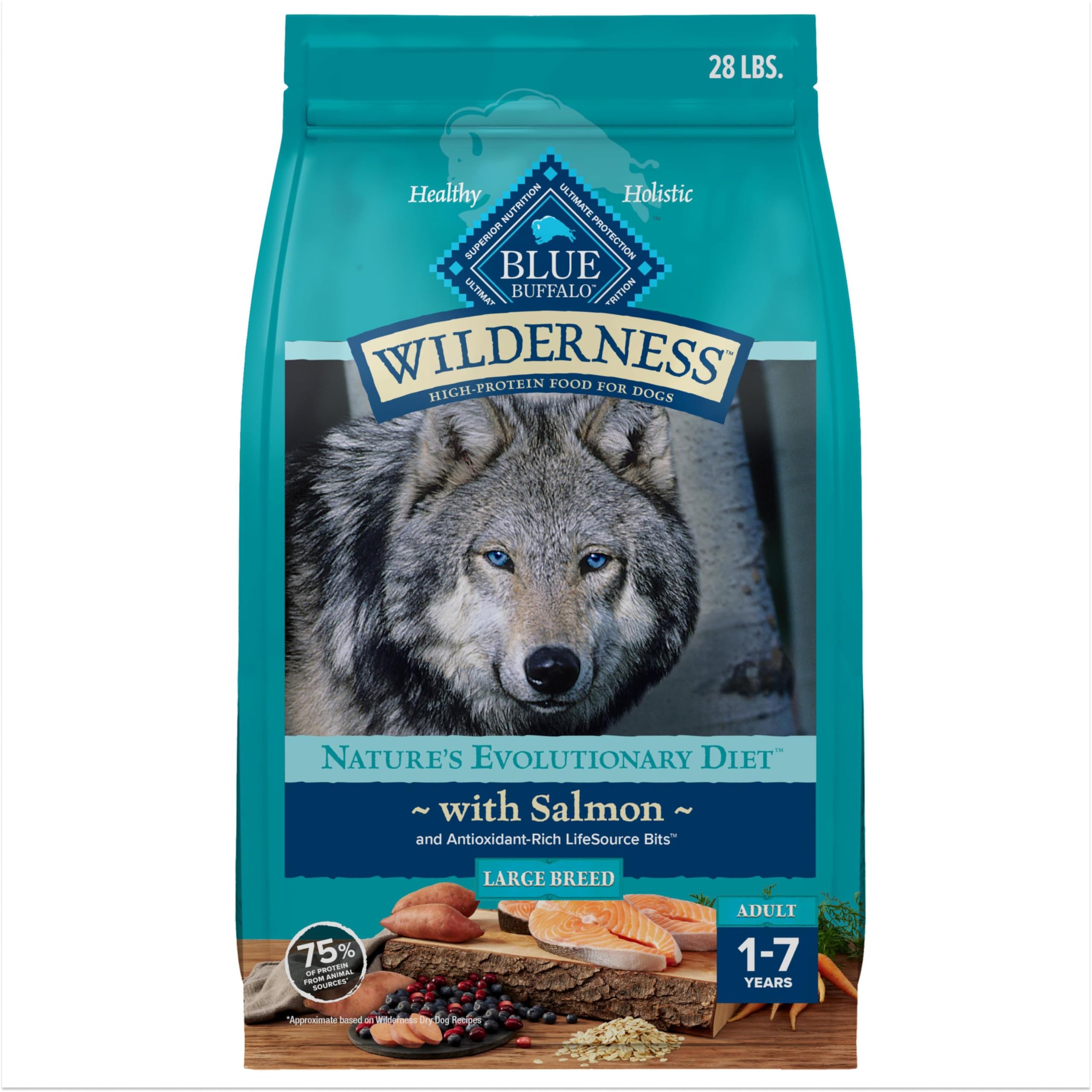 Blue Buffalo Wilderness Natural High-Protein Dry Food for Adult Dogs, with Wholesome Grains, Salmon, 28-lb bag.