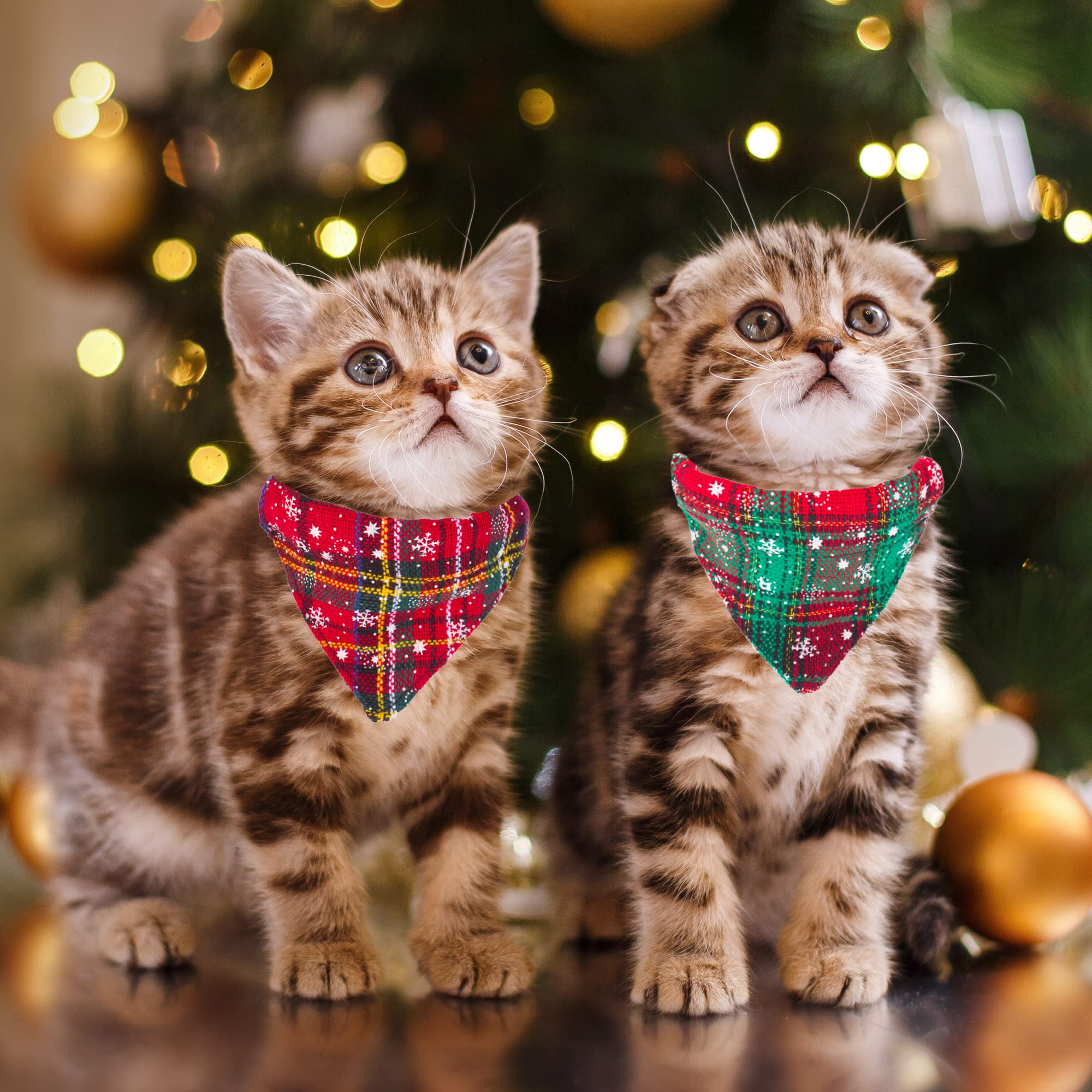 Adoggygo Christmas Cat Bandana Collars Breakaway With Bell, 2 Pack Adjustable Cat Collar With Removable Bandana, Cat Christmas Collar For Kittens Cats (Christmas)