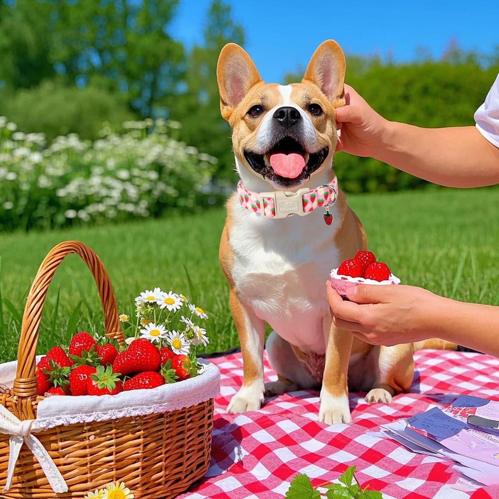 Babole Pet Cute Spring/Summer Dog Collar, Adjustable Pink Strawberry Dog Collars For Large Dogs, Lightweight Quick-Release Buckl