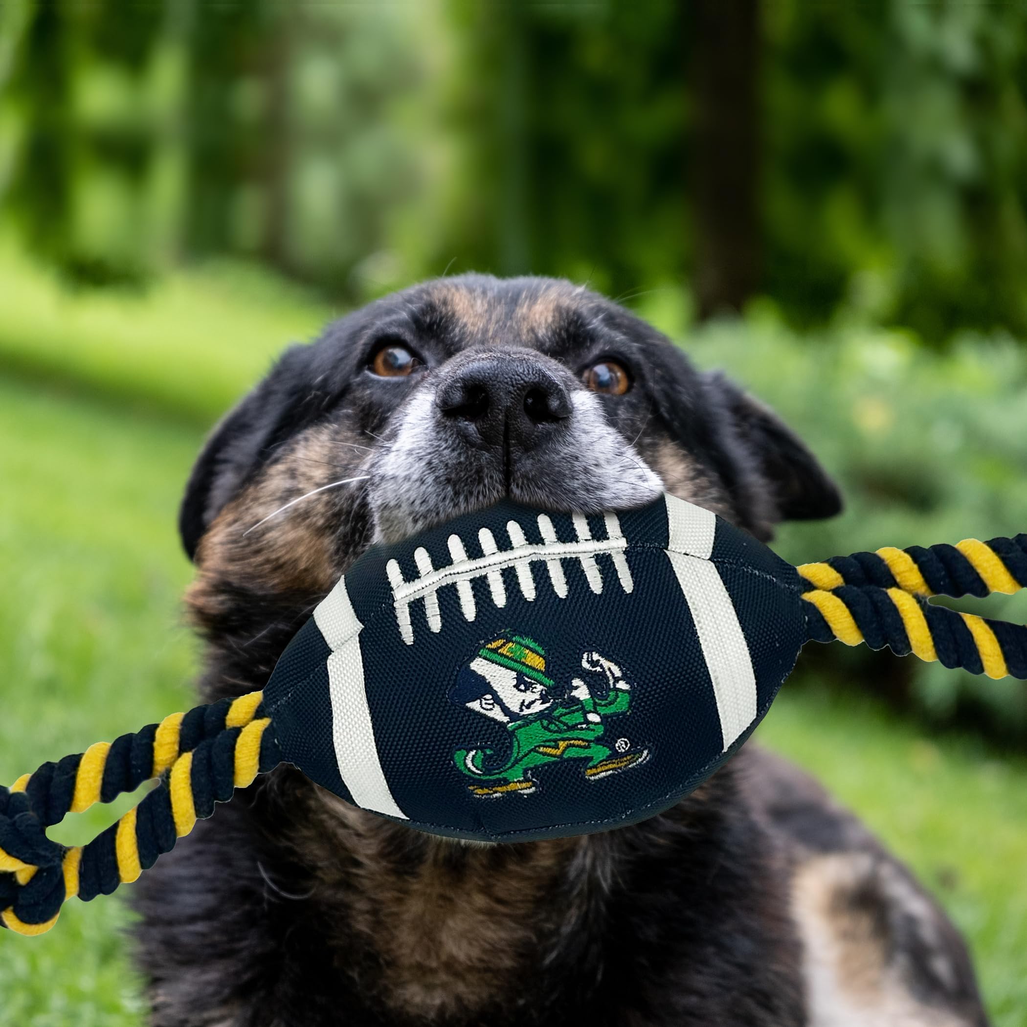 Pets First Notre Dame Football Dog Toy - Tough Nylon, Strong Pull Ropes, Inner Squeaker, One Size, Collegiate Team Color