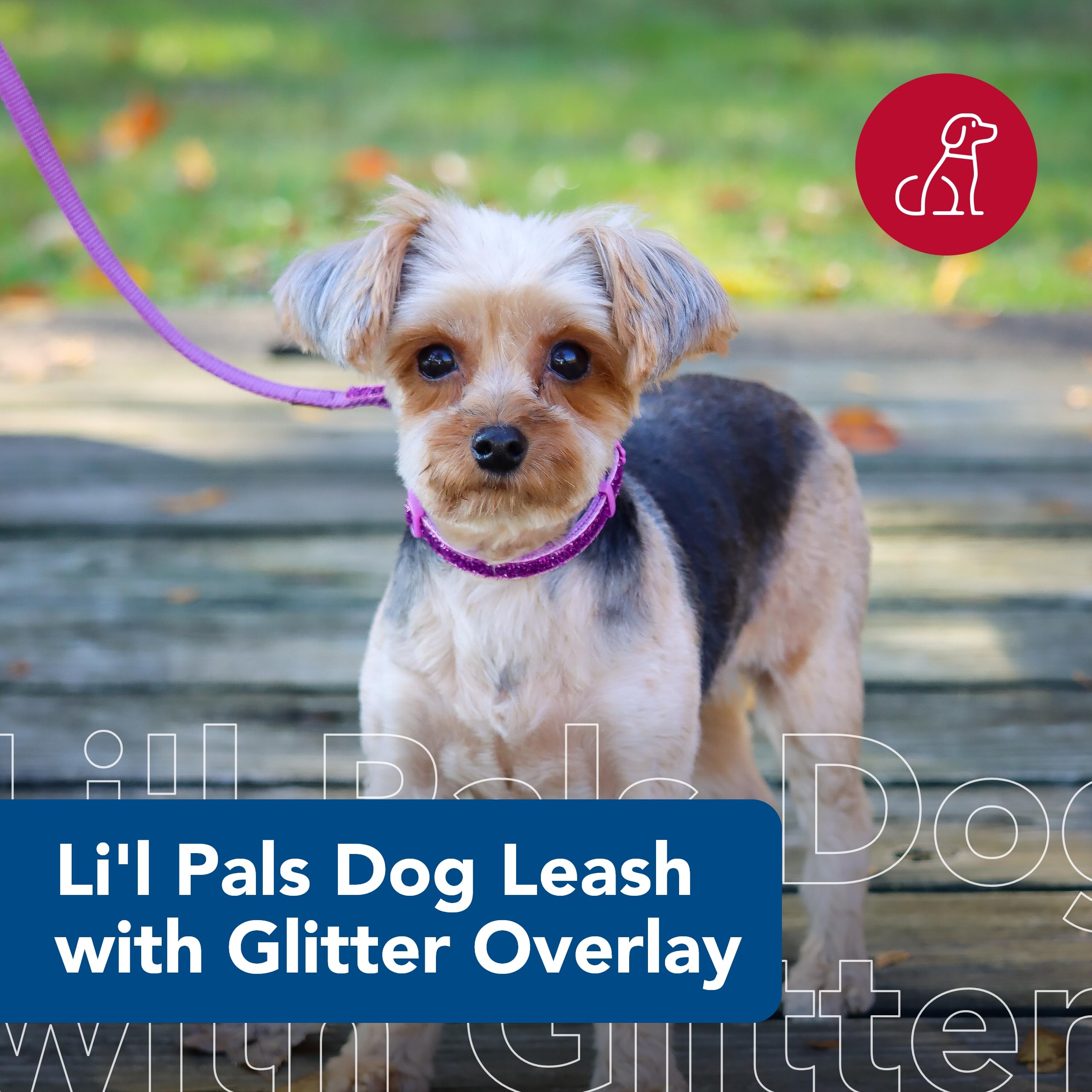 Coastal Pet Li'l Pals Dog Leash with Glitter Overlay - For Walking Small Pets - Ensures Comfortable Stroll - Lightweight Leash w