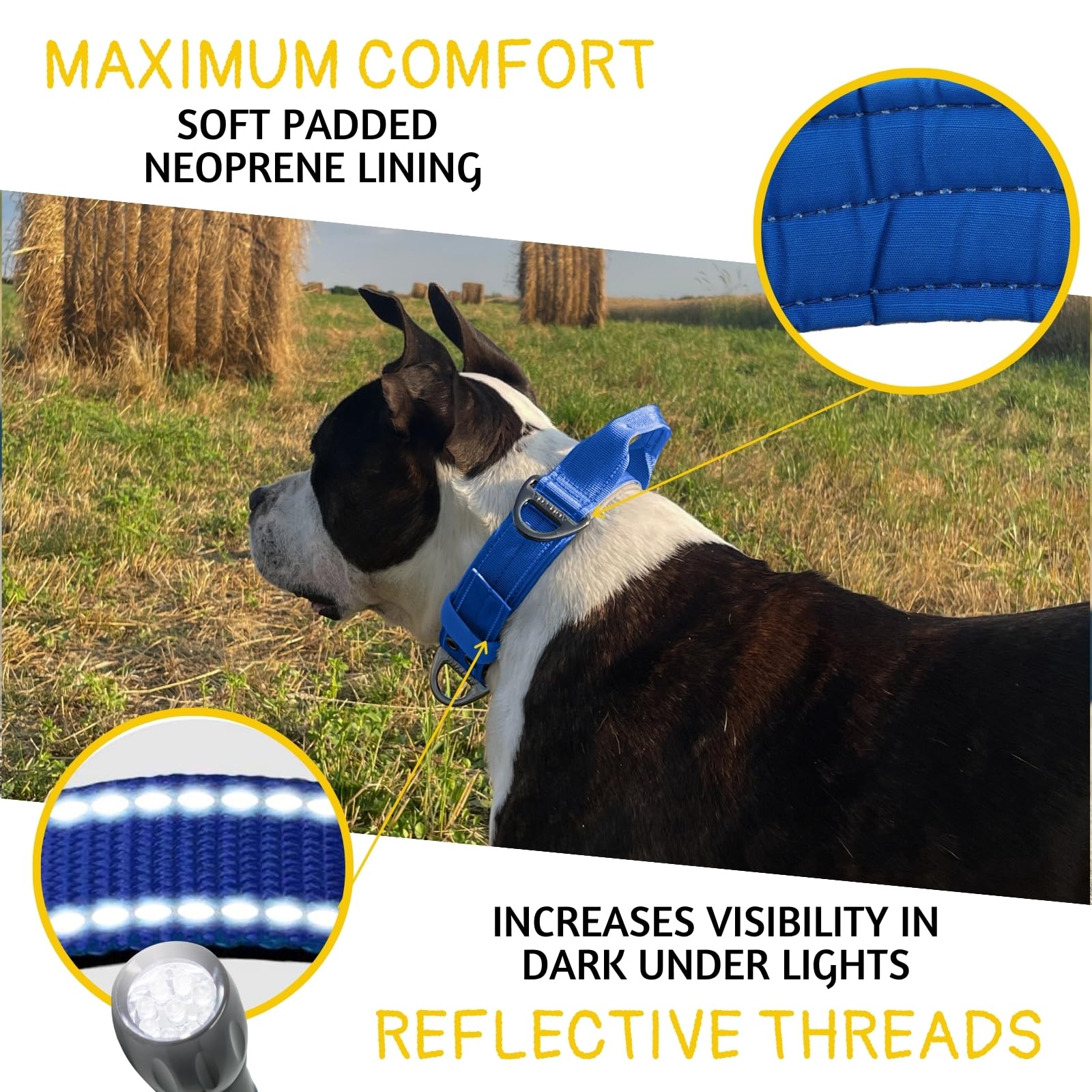 Adityna Heavy Duty Dog Collar For Large Dogs - Reflective Royal Blue Collar With Handle For Training, And Walking - Wide, Durabl