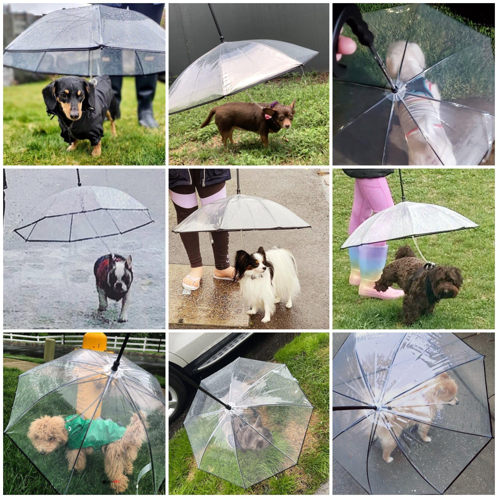 Namsan Clear Dog Umbrella For Small Dogs, Doggie Umbrella Leash Keeps Dogs Dry In Rain Walking, Small Doggy Rain Umbrella With M