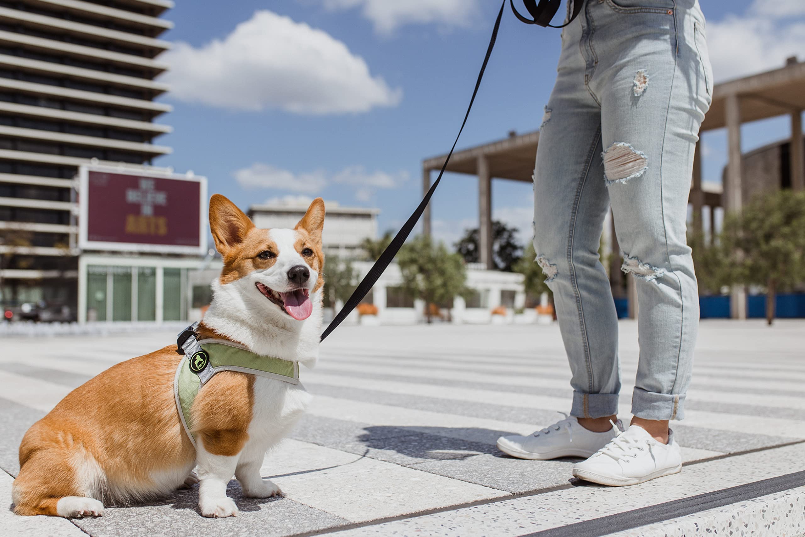 Gooby Simple Step In Iii Harness - Green, X-Small - Small Dog Harness With Scratch Resistant Outer Vest - Soft Inner Mesh Harness For Small, Medium Dogs