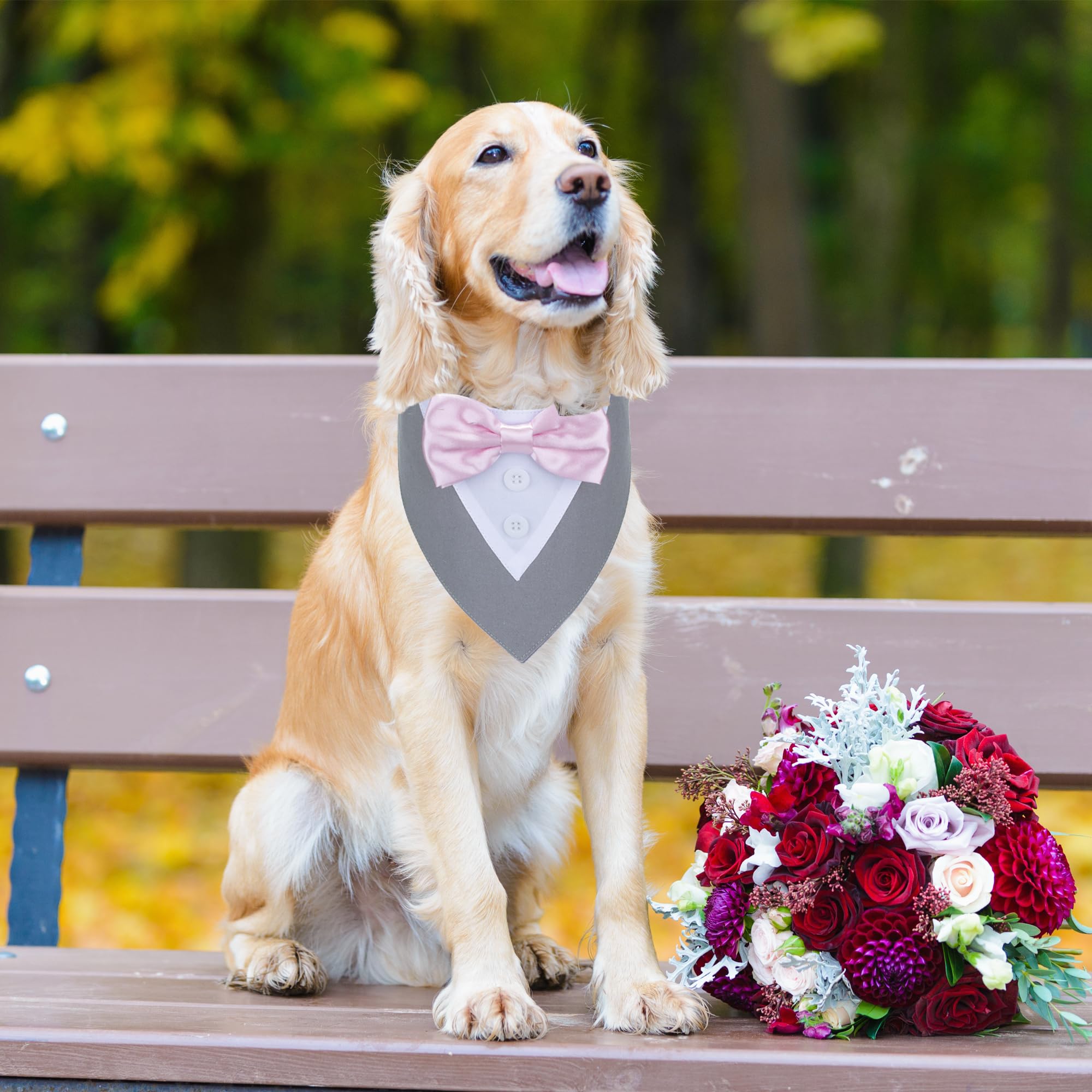Adoggygo Formal Dog Tuxedo Wedding Pet Bandana Collar With Bowtie, Adjustable Birthday Wedding Formal Tux Costumes For X-Small P