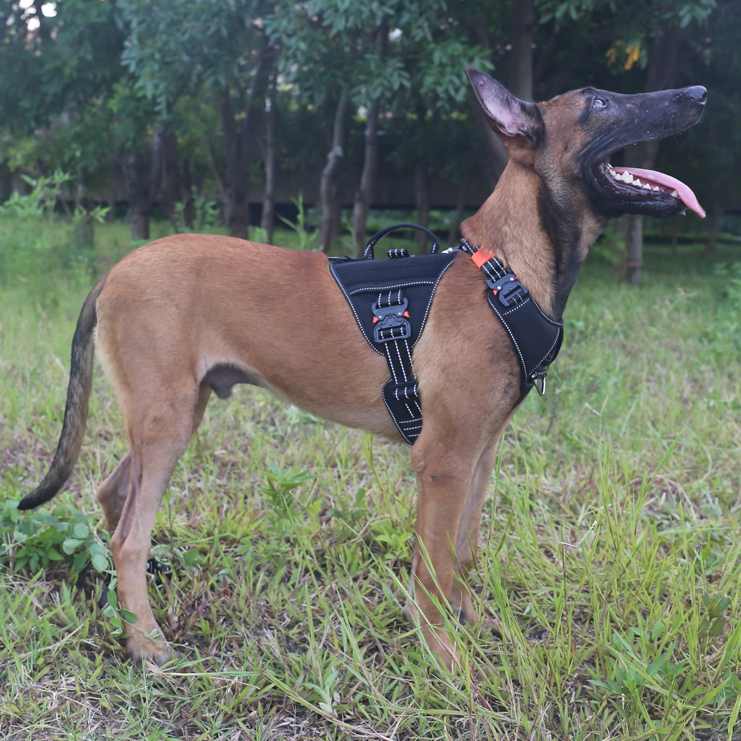 Icefang Gn8 Tactical Dog Harness With 4X Metal Buckles For X-Large Sized Dogs,Reflective In Training Walking K9 Vest,No-Pull Fro