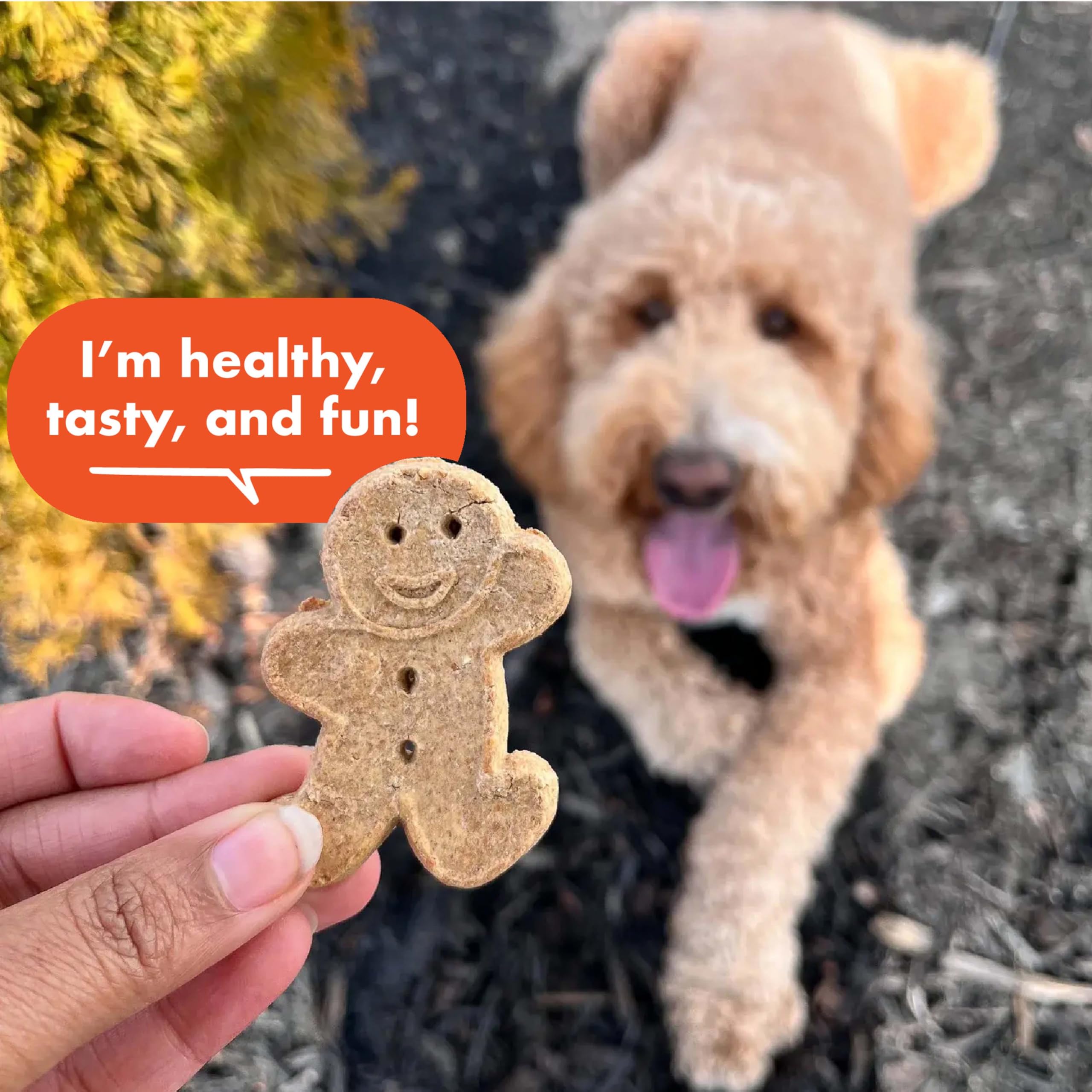 Buddy Biscuits 3.5 lbs. Bag of Crunchy Dog Treats Made with Natural Peanut Butter