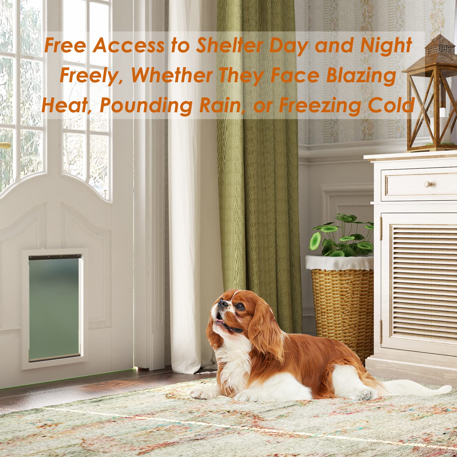 Dog Door Replacement Flaps With Screw, Medium Pet Door Replacement Flap Compatible With Petsafe Freedom Pac11-11038, Weather-Proof & No Warped For Medium Dogs, Cat Doggie Flaps,12 7/8'' ?8 1/8''