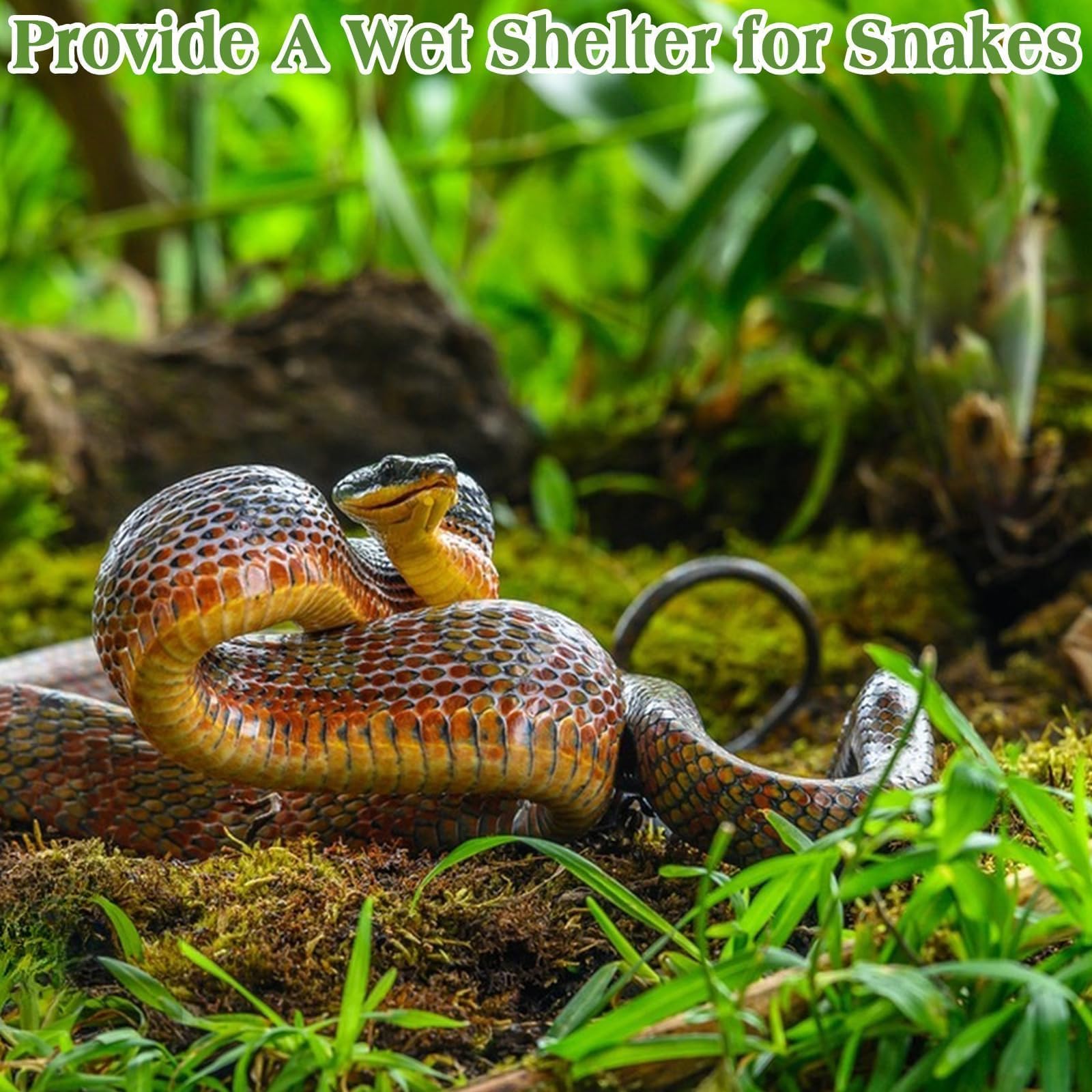 Halatool 1.1Lb Sphagnum Moss For Reptiles(Turtles, Geckos, Snakes, Frogs, Hamsters), Natural Forest Long Fibered Dried Moss Bulk