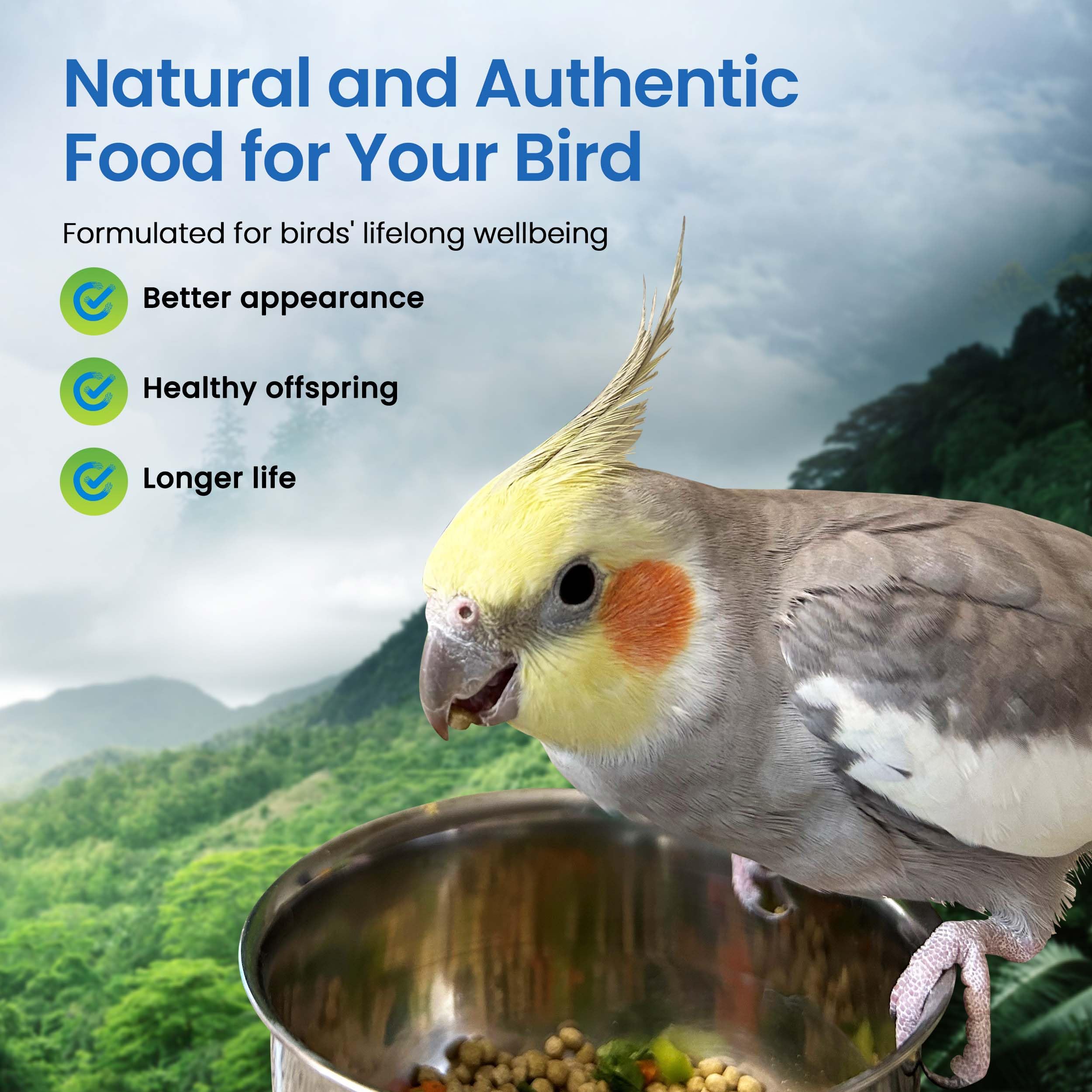 Harrisons Bird Foods Bird Food Adult Lifetime Fine Certified Organic Non-GMO Formula Bird Food 25lb