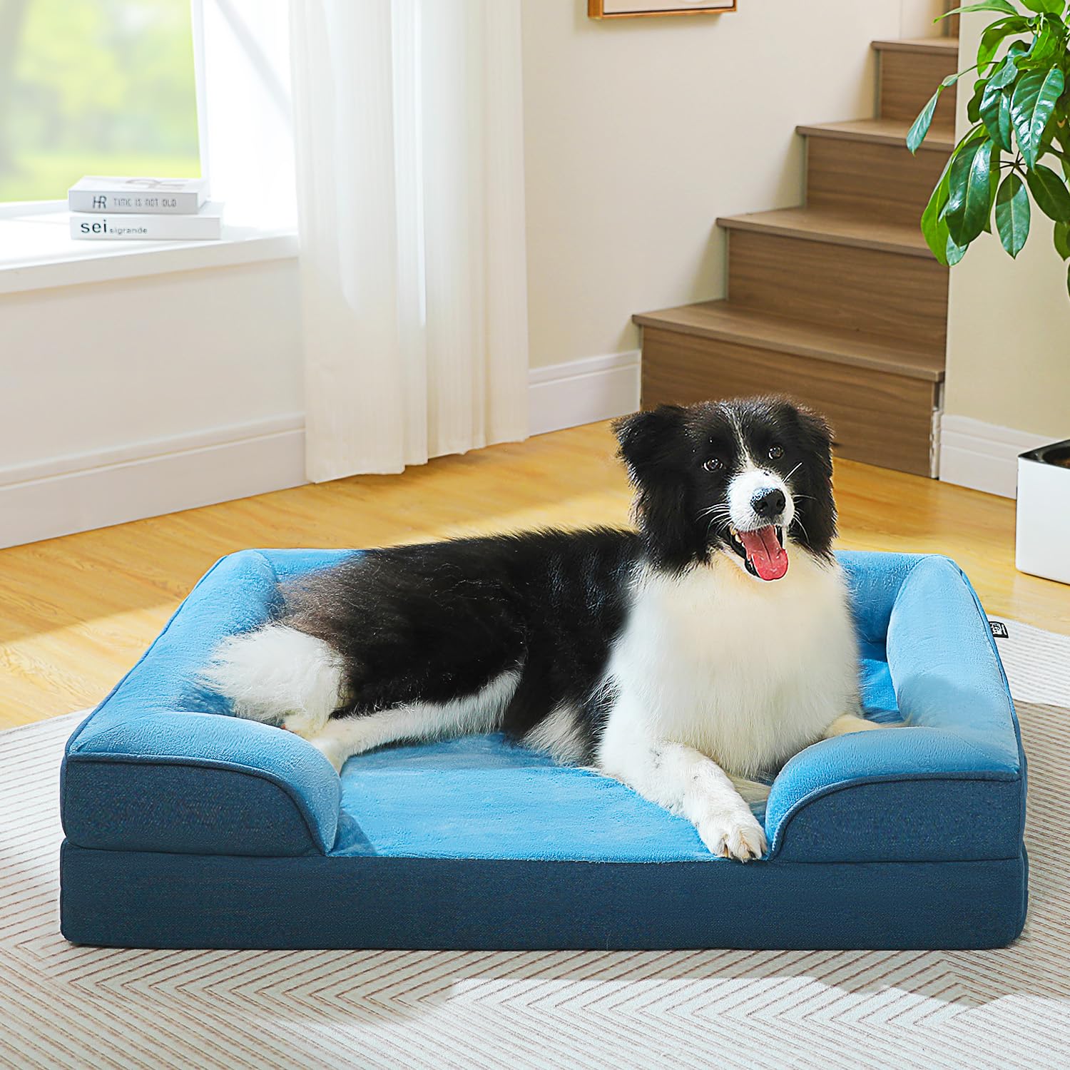 Pawz Road Orthopedic Dog Bed Medium Size Dog Bed Washable With Supportive Foam,2-Layer Waterproof Cover And Non-Slip Bottom For 