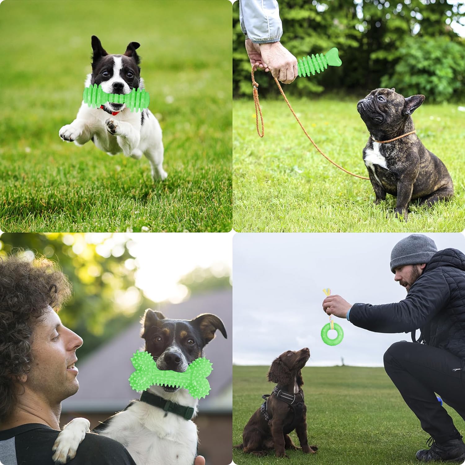 Cgbd Puppy Toys, 6 Pack Dog Chew Toys For Puppy, Cute Green Small Dog Toys Teething Toys For Puppies, Soft Durable Interactive Chew Toy For Small Dogs