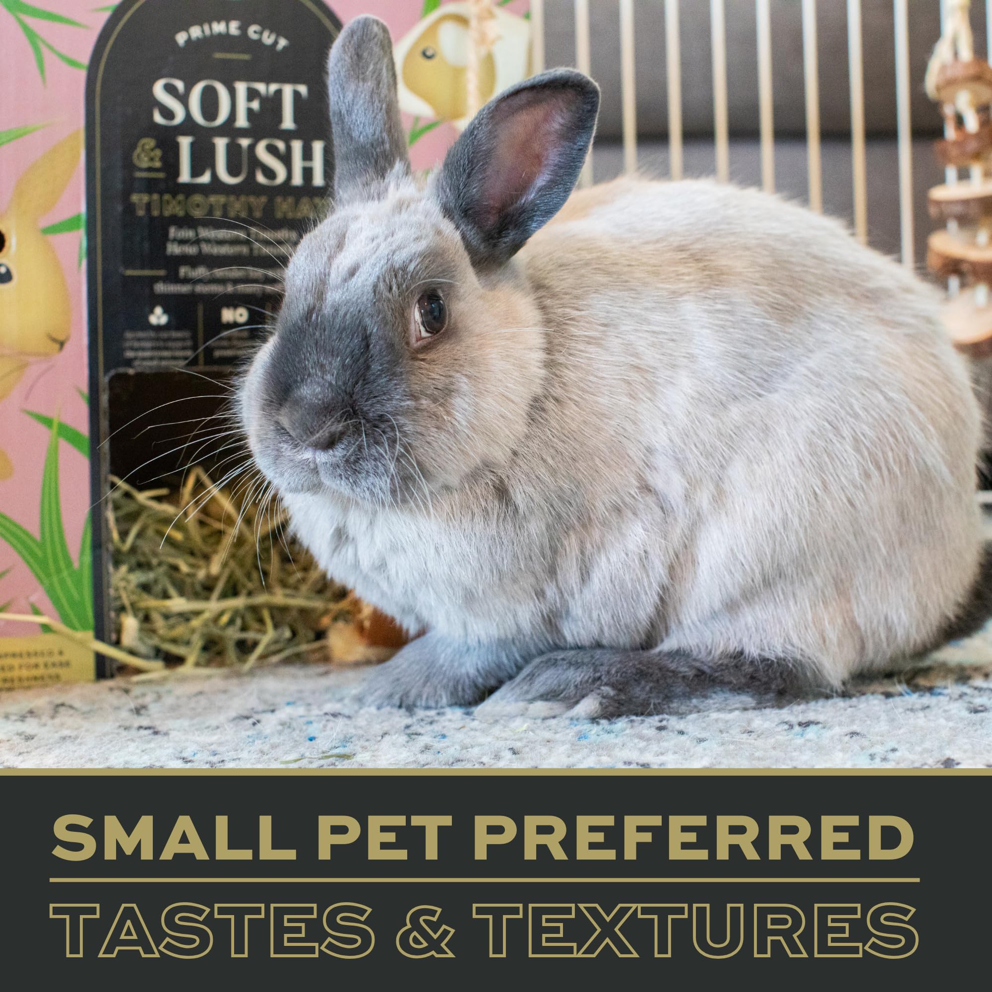 Oxbow Prime Cut Soft & Lush Timothy Hay, Premium Rabbit & Guinea Pig Hay, High Fiber Small Pet Food for Rabbits, Bunnies, Guinea