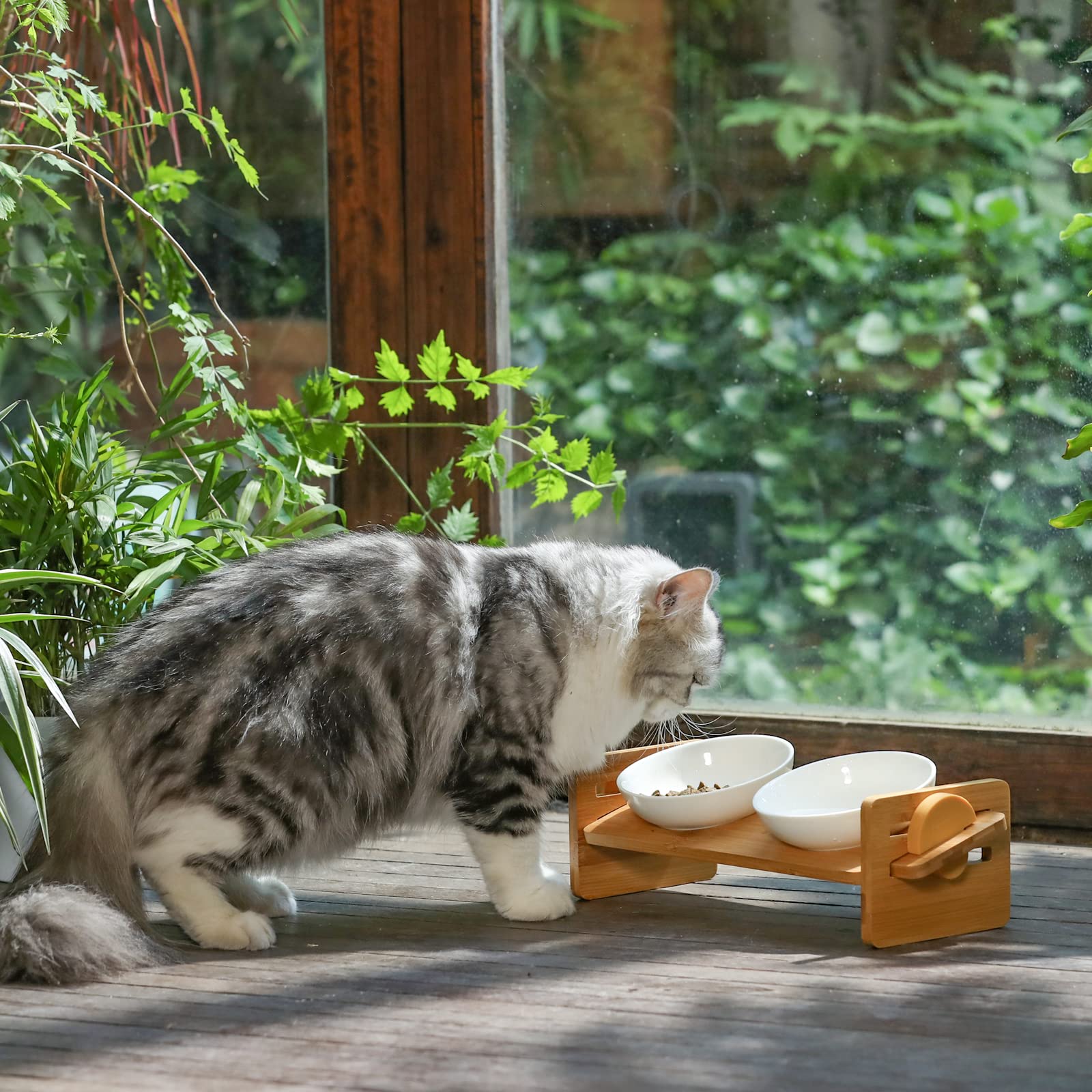 FUKUMARU Elevated Cat Ceramic Bowls, Small Dog 15