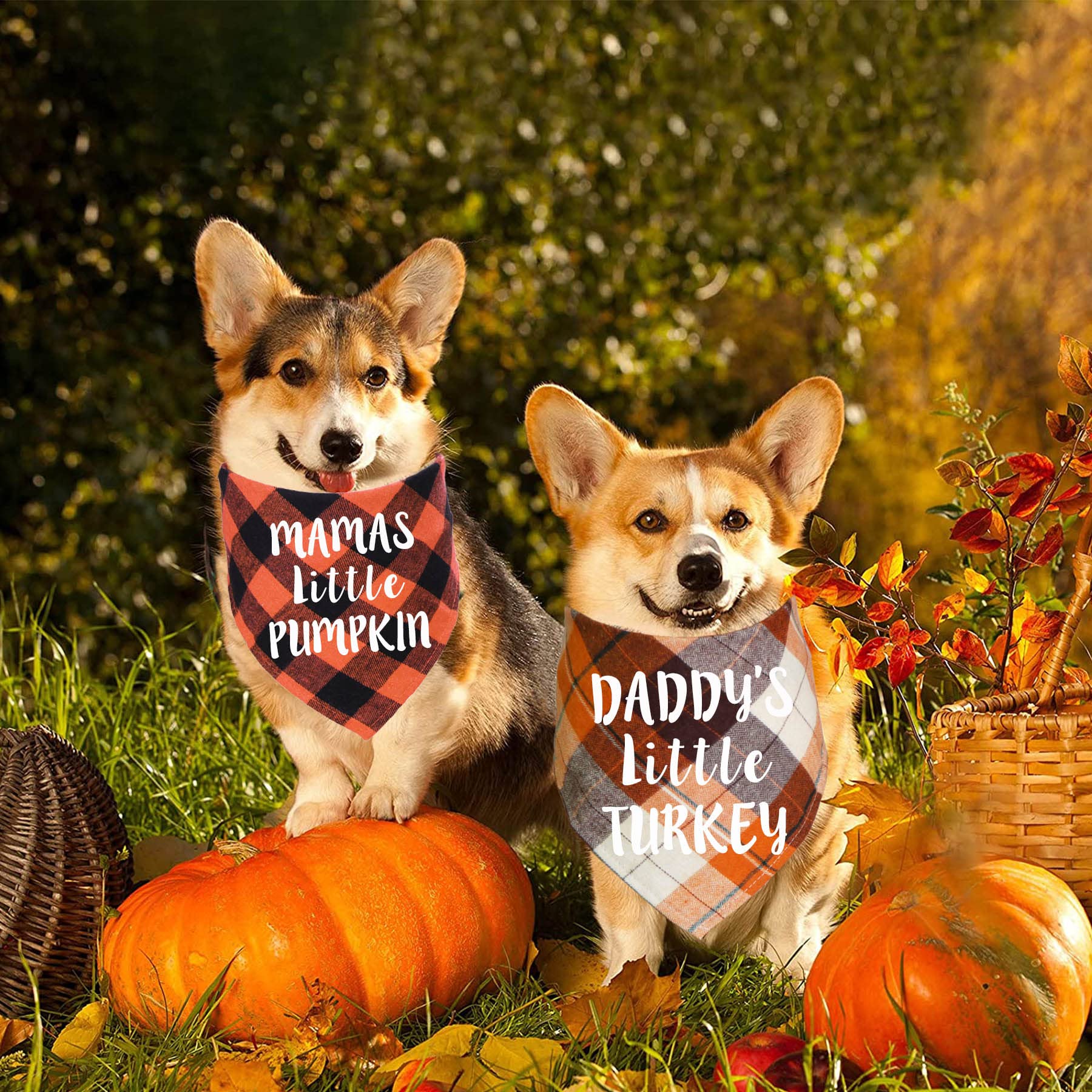 Stmk Holiday Plaid Dog Bandanas, 2 Pack Halloween Thanksgiving Day Daddy’S Little Turkey Mamas Little Pumpkin Dog Bandana Scarf For Halloween Thanksgiving Day Dog Puppy Costume (Holiday Style)