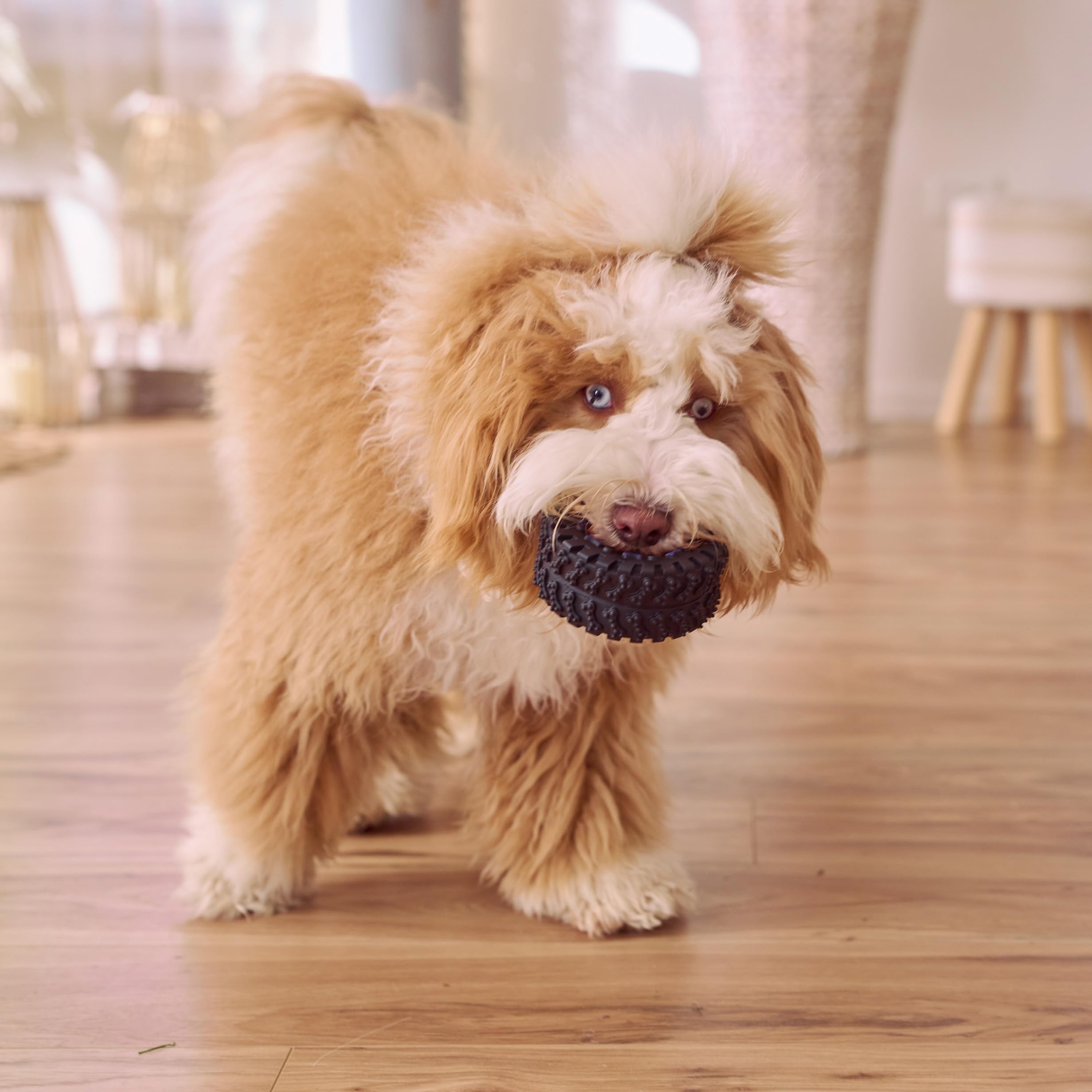 Ethical Squeaky Vinyl Tire Dog Toy, 3-1/2-Inch