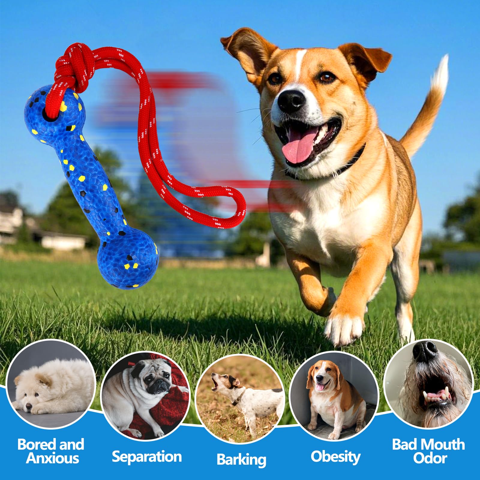 Mity Rain Floating Dog Toys -E-Tpu Water Pool Fetching Toy With Rope For Small Medium Large Pet, Bumper Shape Indestructible Int