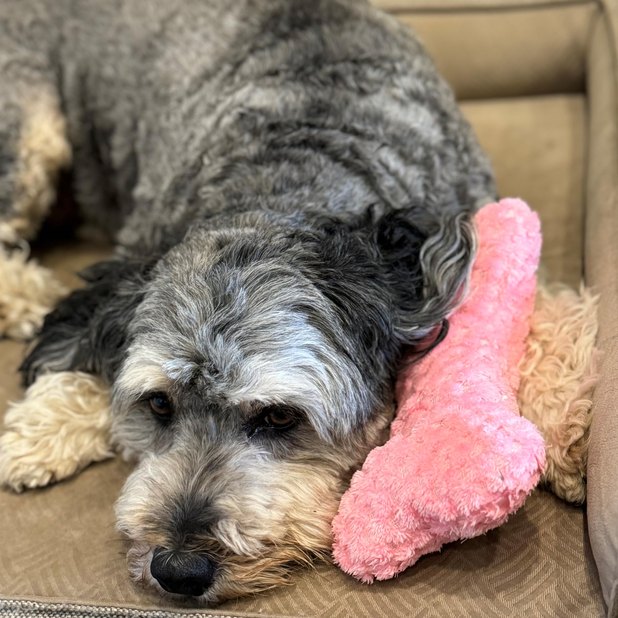 SPOT Soothers Warm Hug Bone - Plush Dog Toy with Lavender Beads, Removable Squeaker, Microwavable, 9in, for Small to Medium Dogs