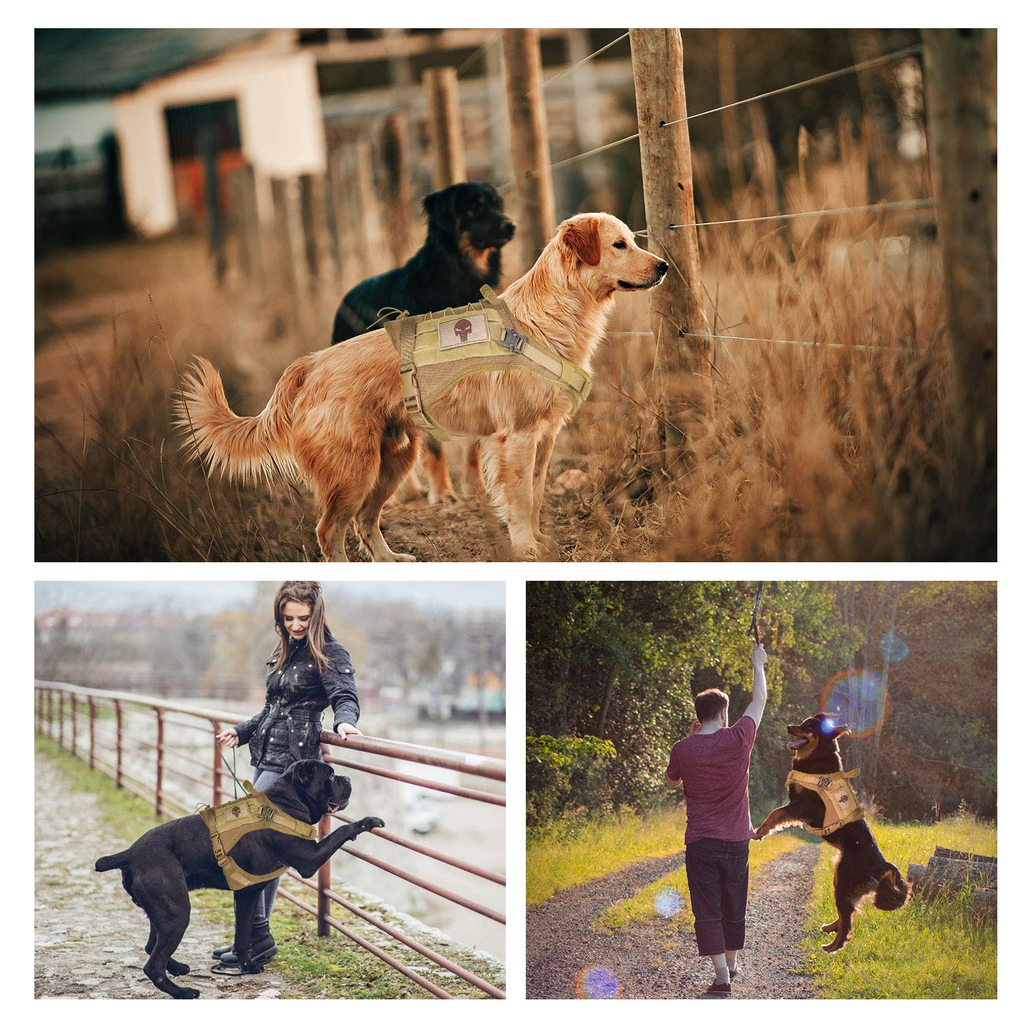 Tactical Service Dog Vest Harness K9 Military Molle Dog Vest for Outdoor Training Hunting Waterproof Pet Dog Harness with Rubber